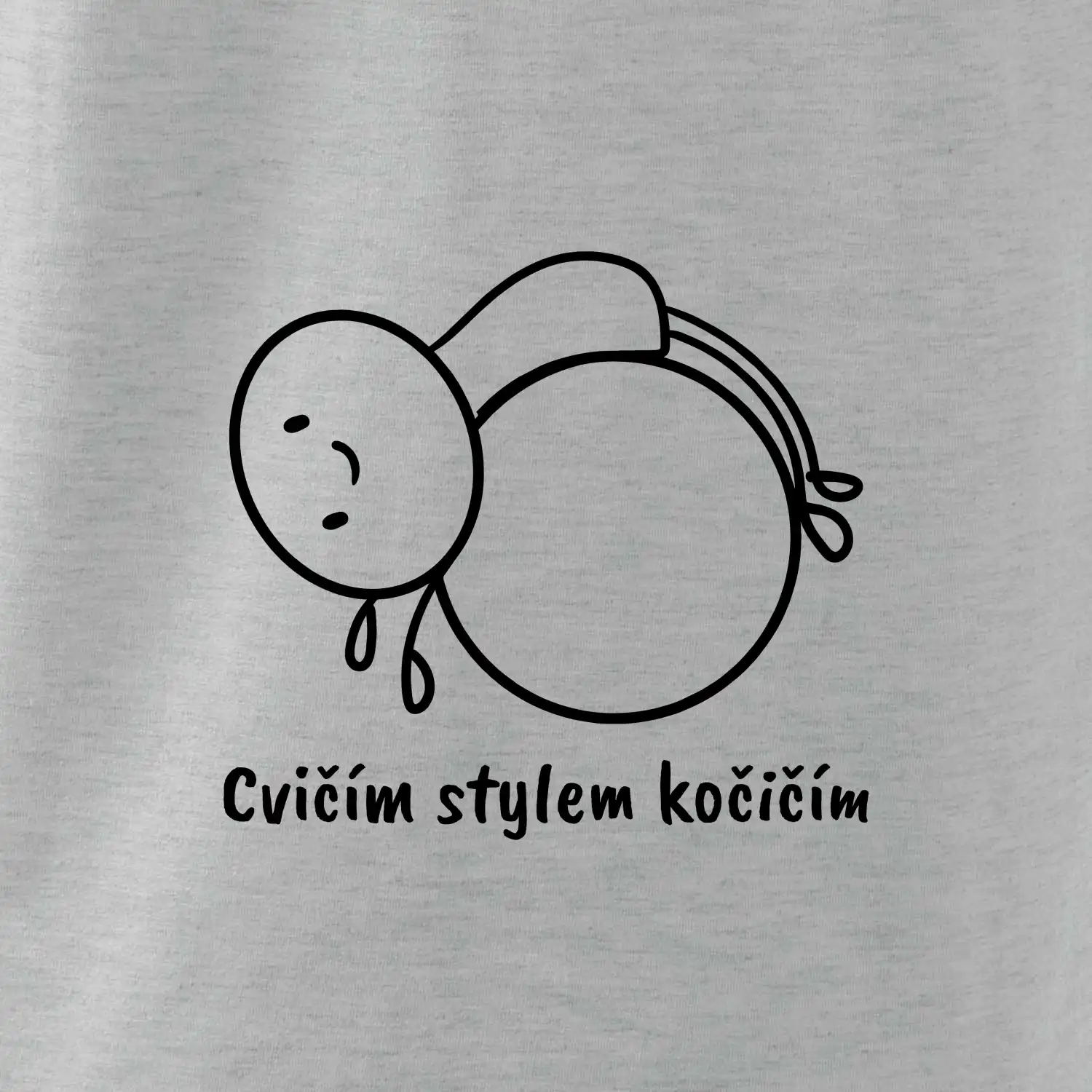 Cvičím stylem kočičím