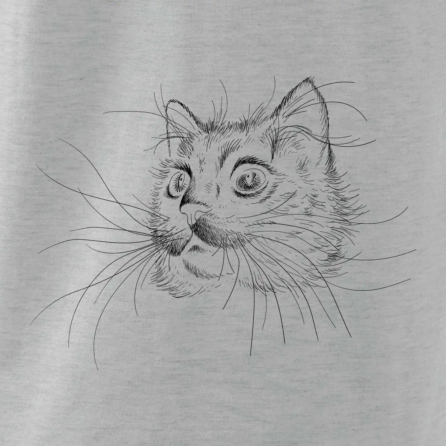 Kočka ilustrace