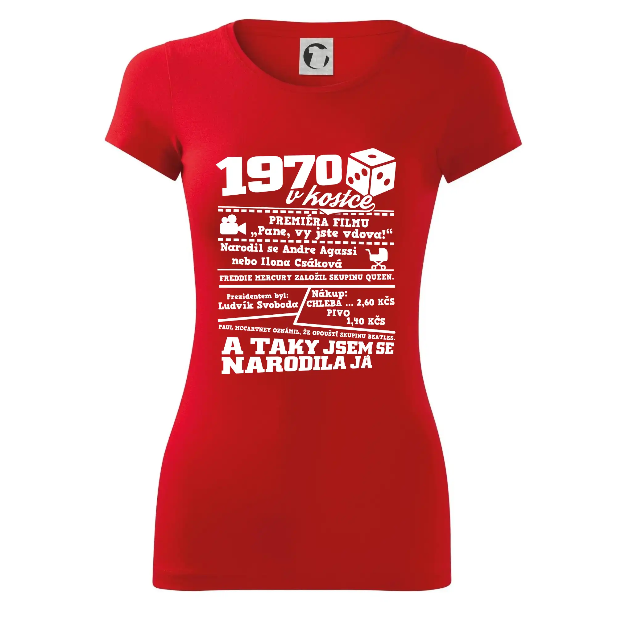 1970 v kostce