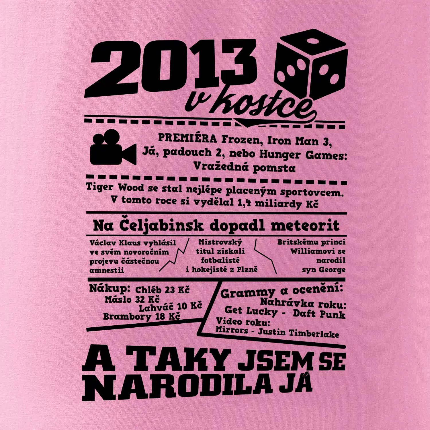 2013 v kostce