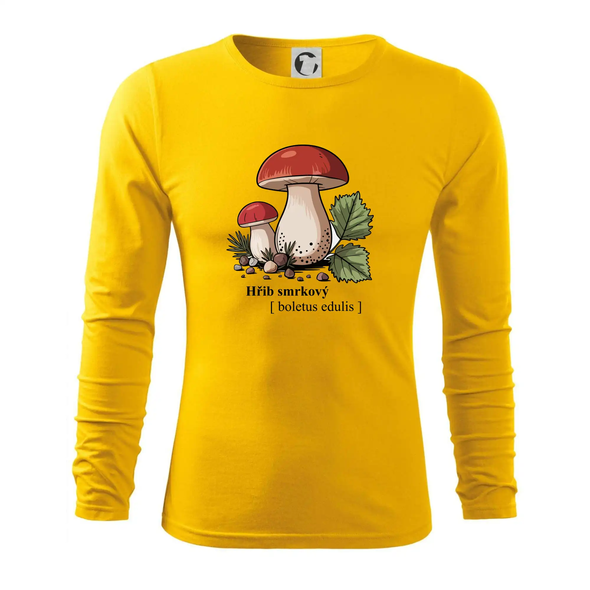 Hřib smrkový - Boletus edulis kreslený