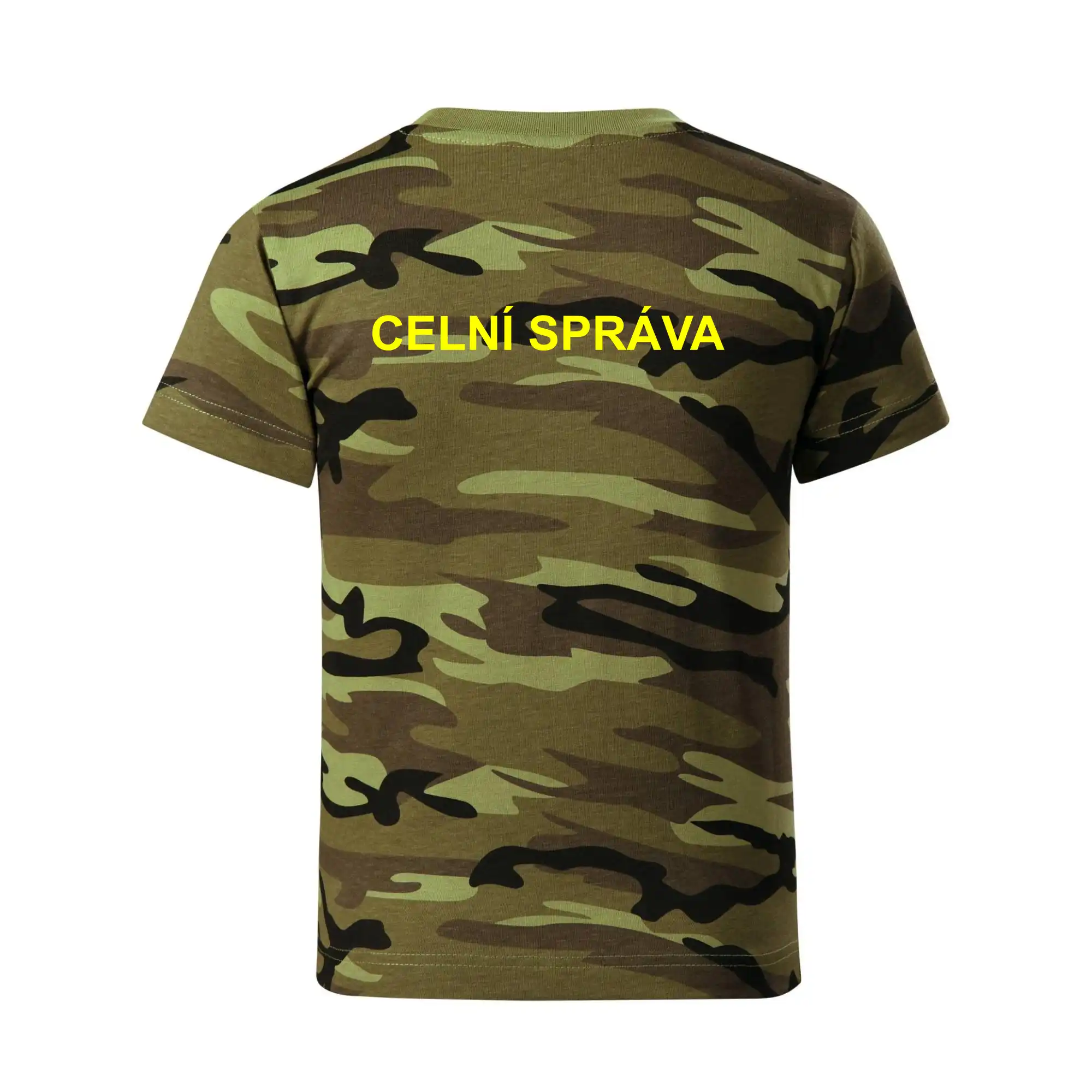 Celní správa