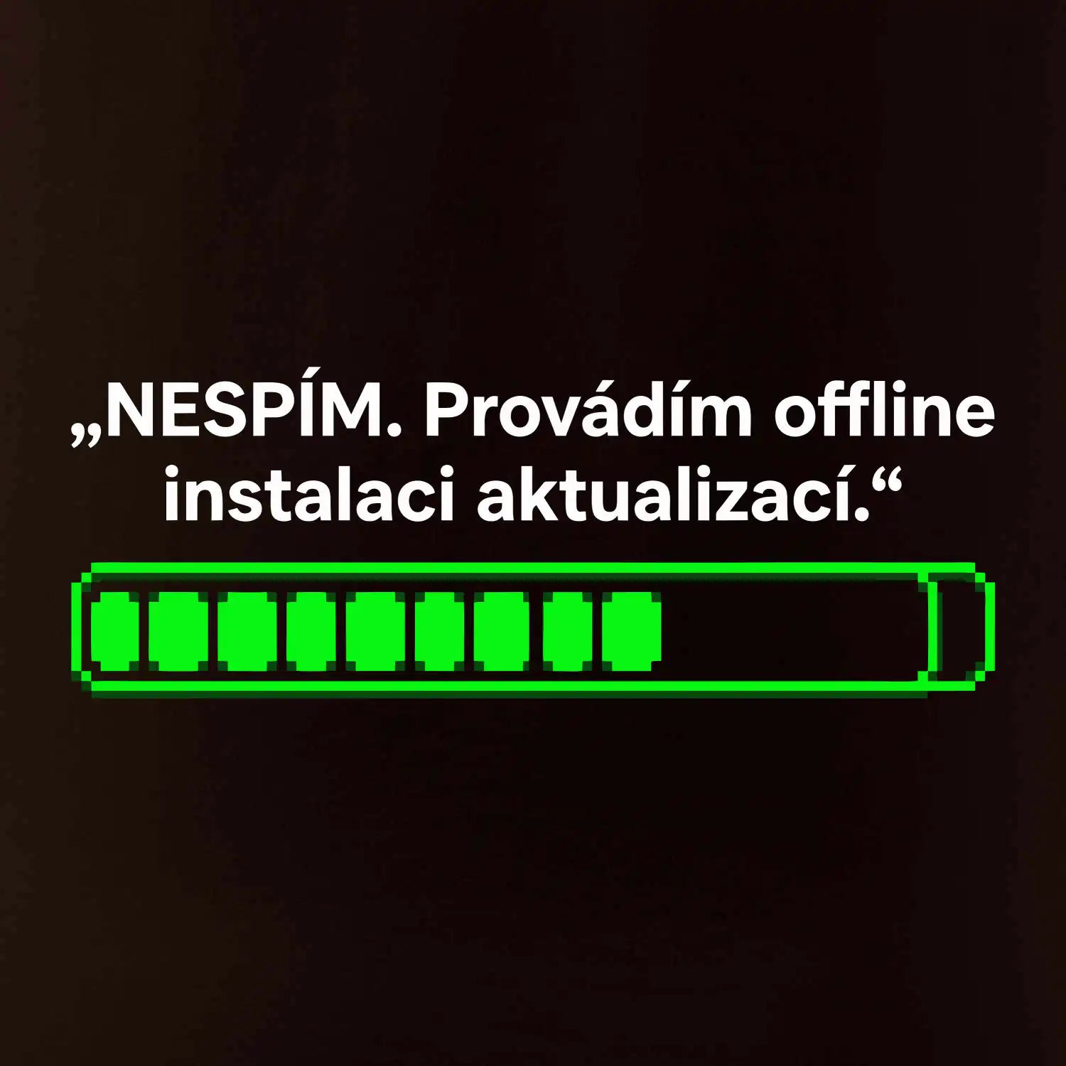 NESPÍM. Provádím offline instalaci aktualizací