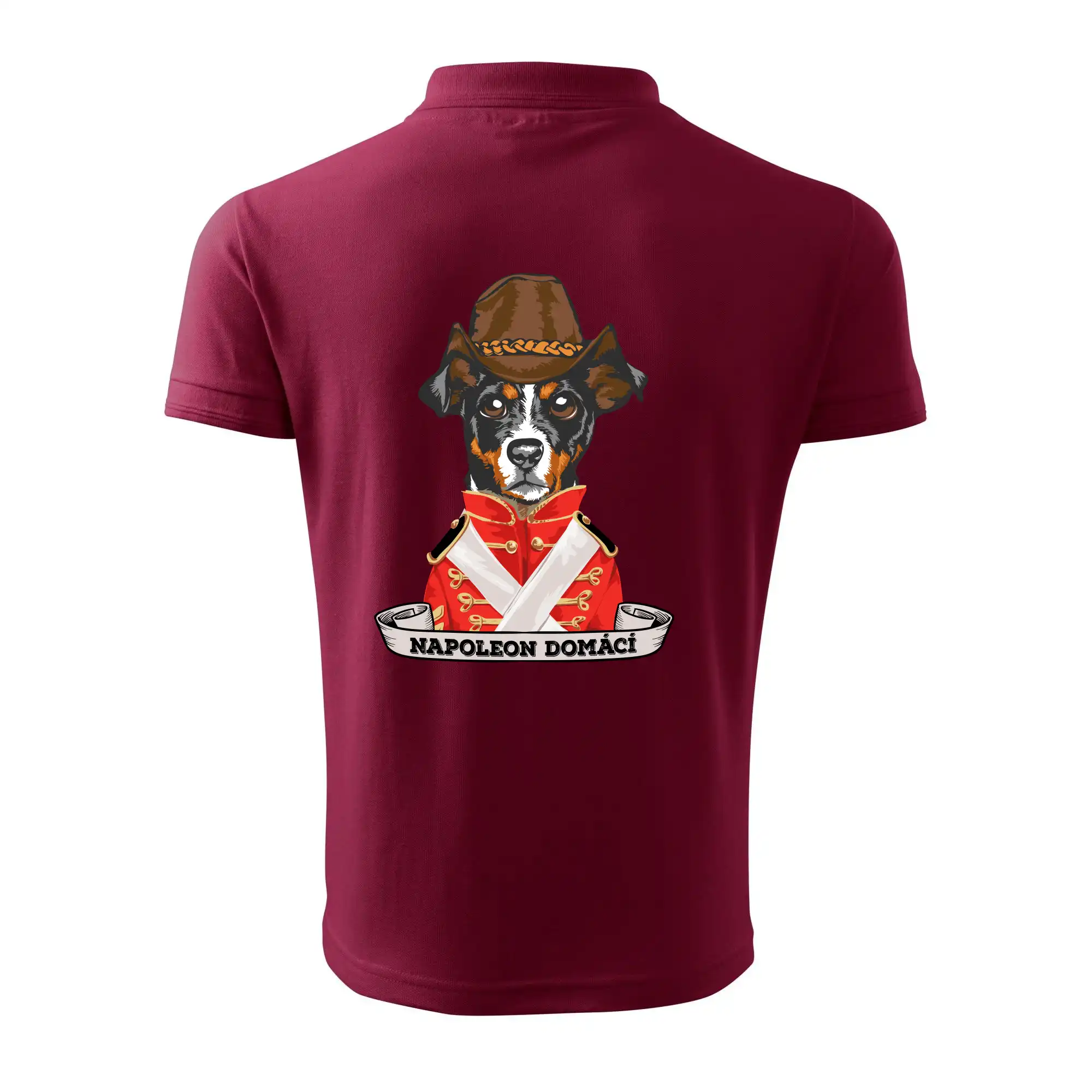 Napoleon domácí pes kříženec