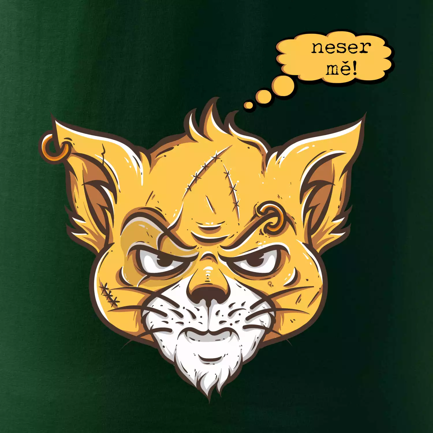 Kočka 