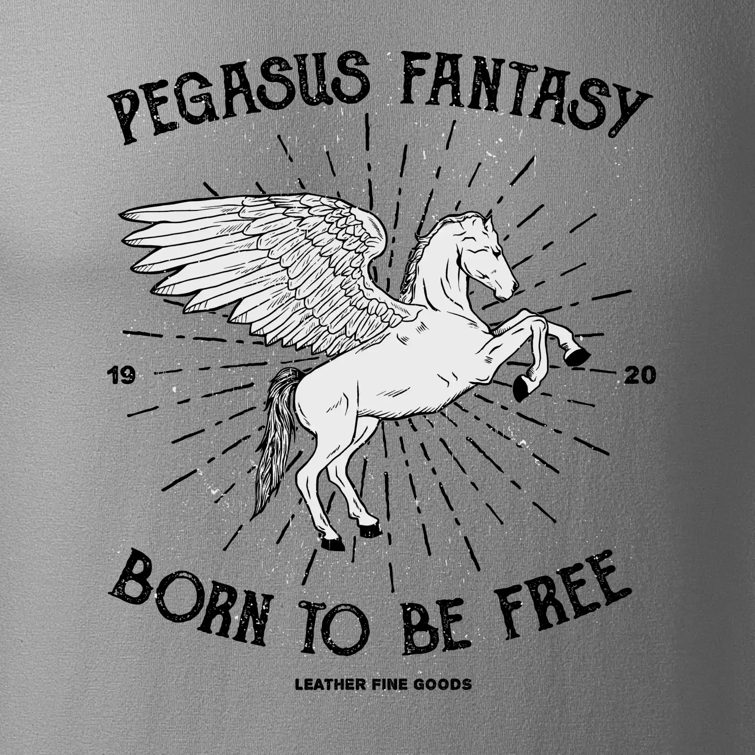 Pegasus fantasy