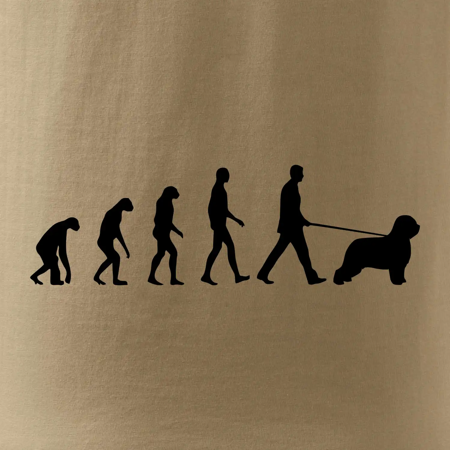 Evoluce pes Briard