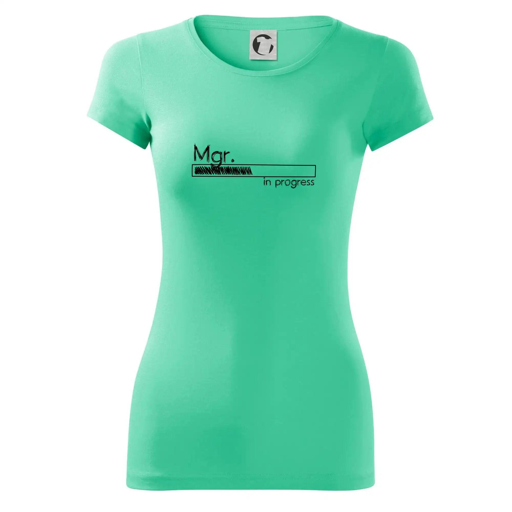 In progress titul Mgr.  magistr / magistra