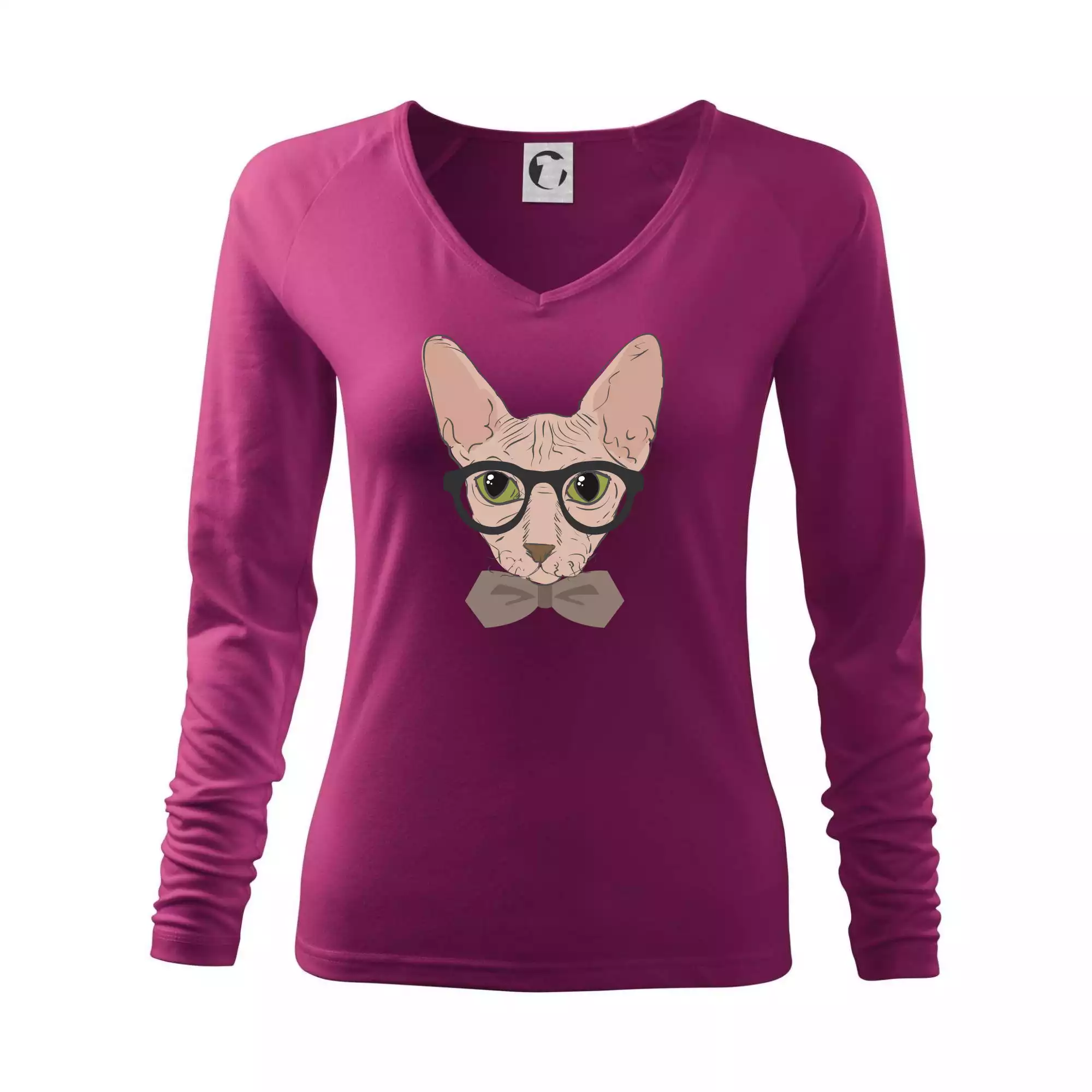 Hipster sphynx