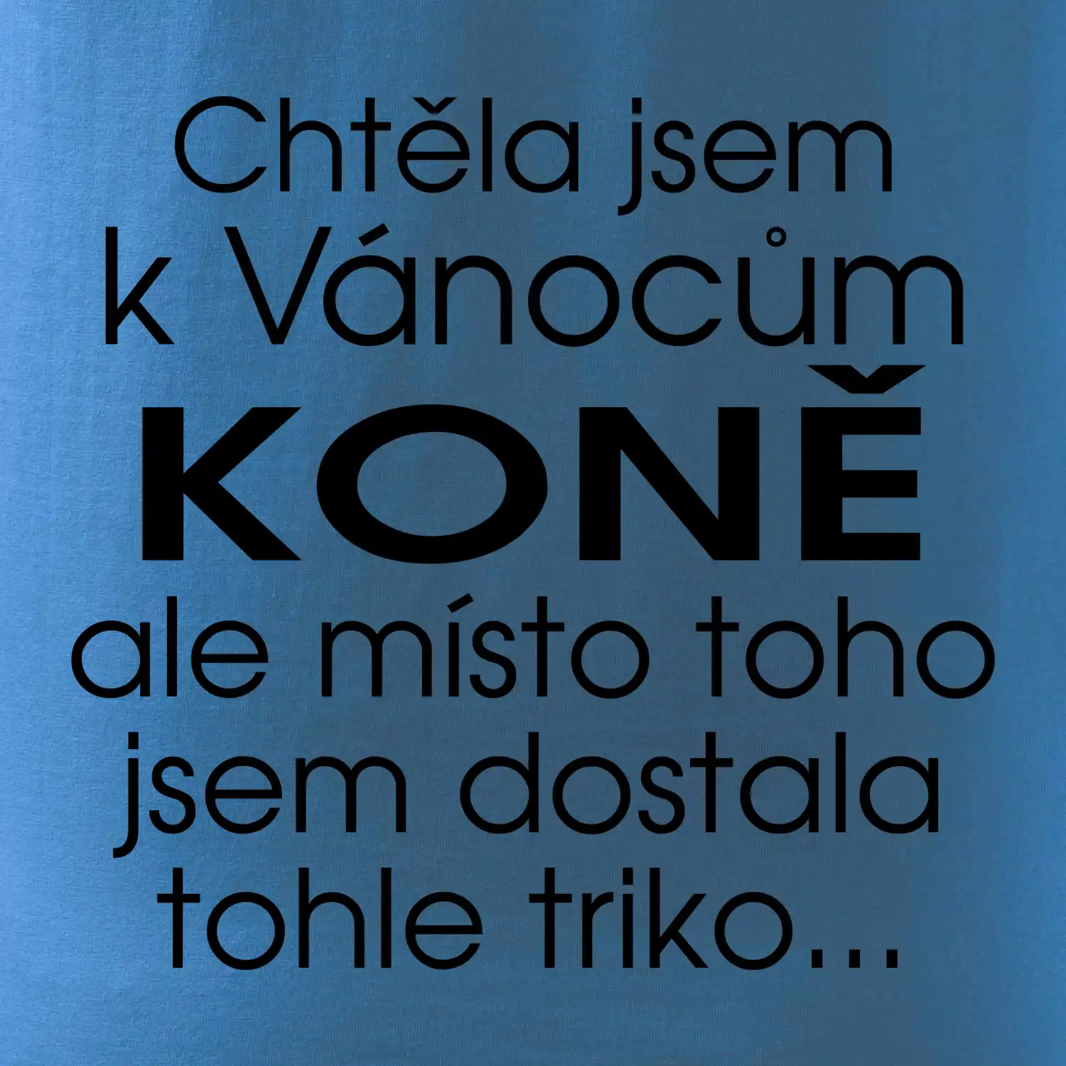 Chtěla jsem k Vánocům koně