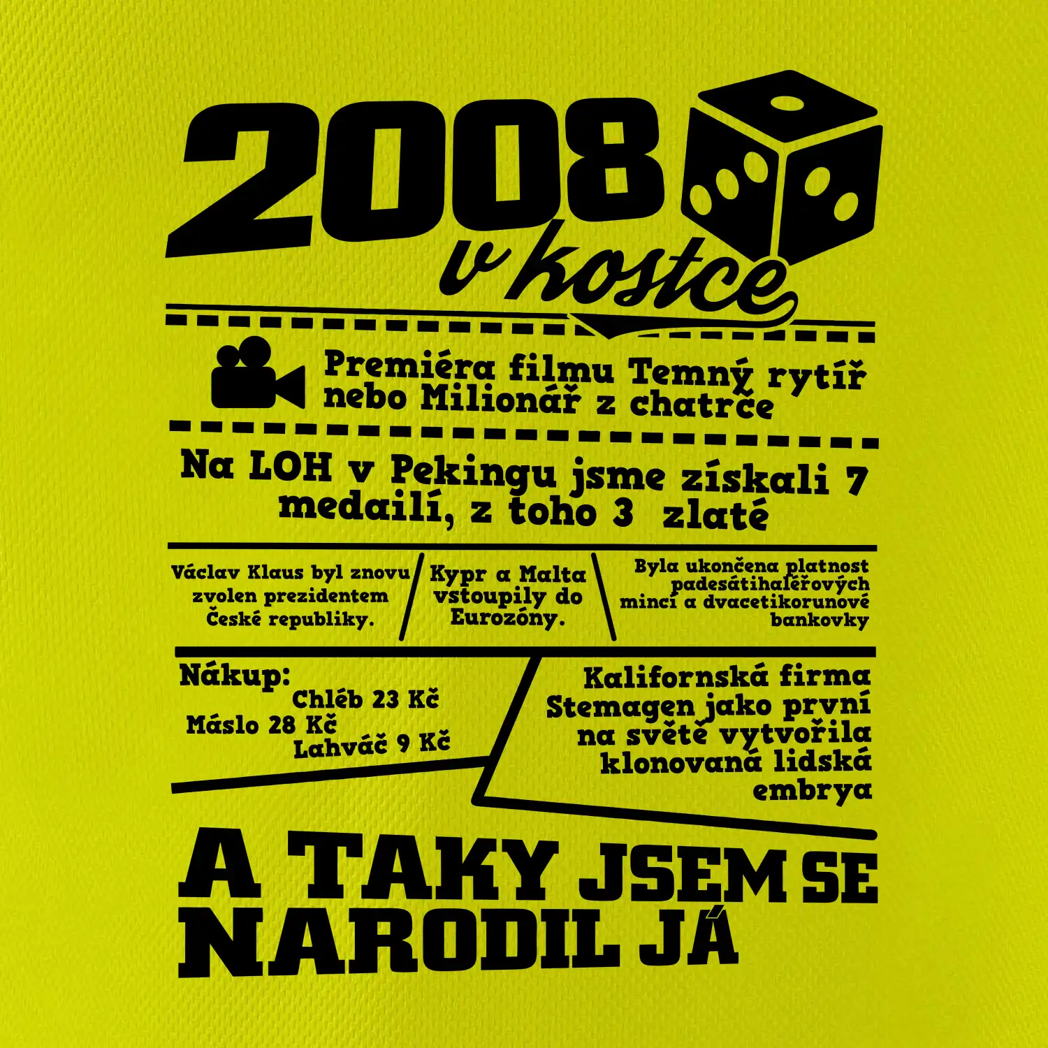 2008 v kostce