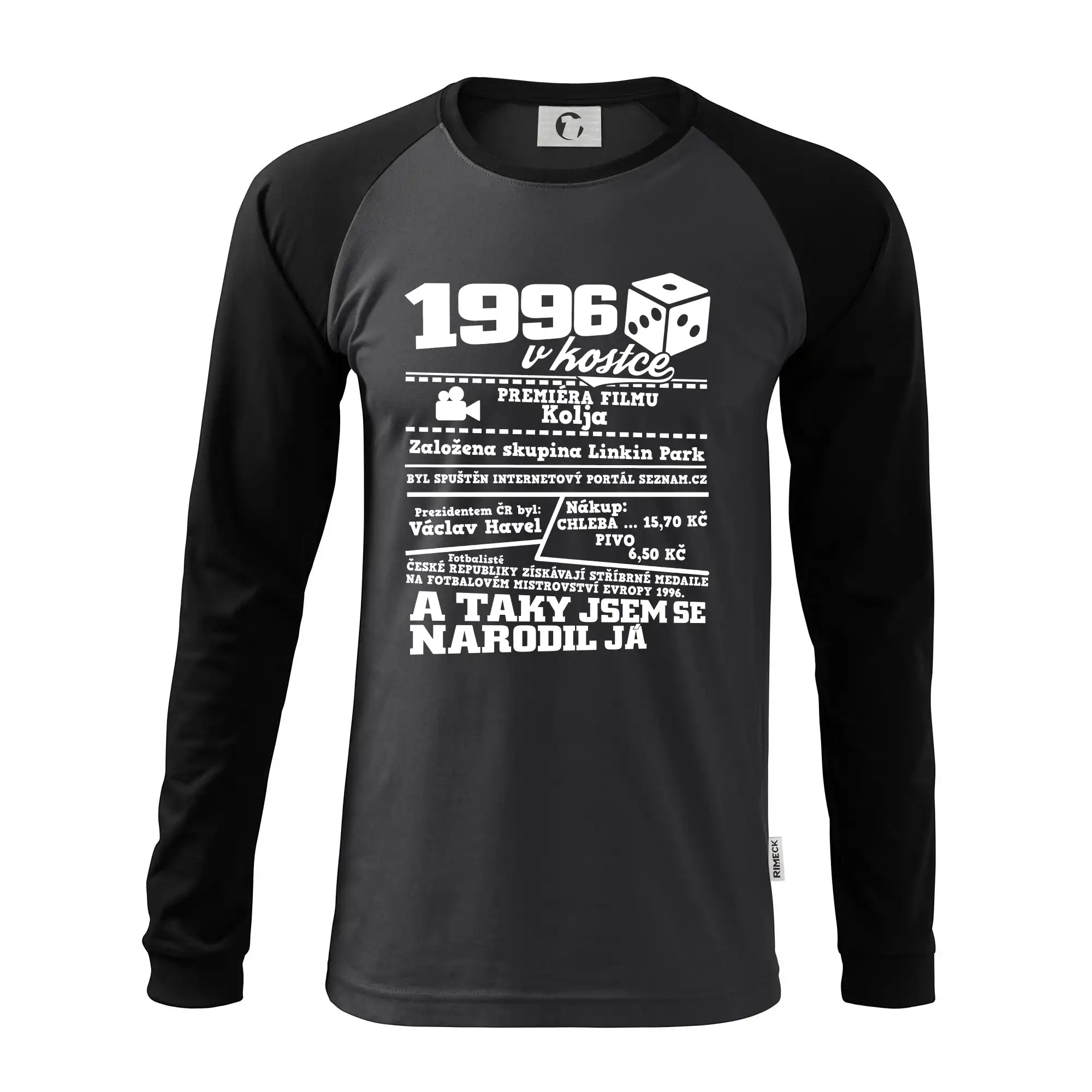 1996 v kostce