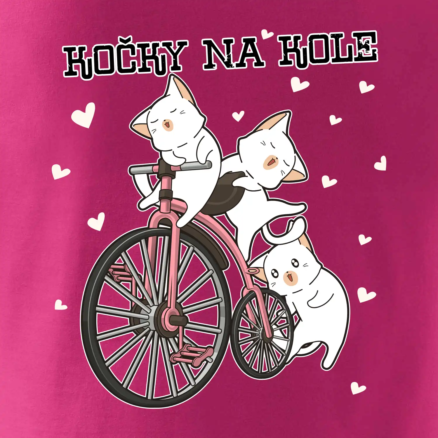 Kočky na kole
