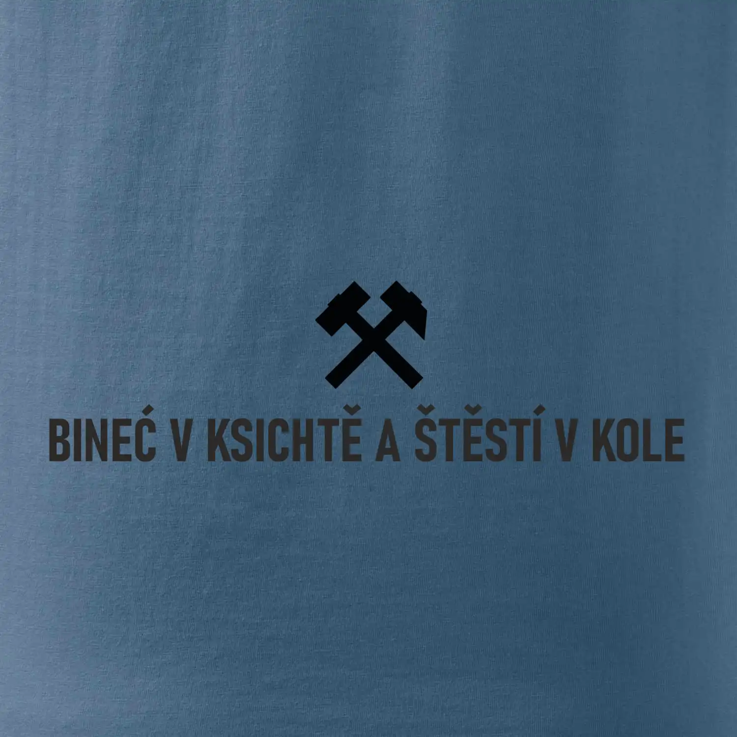 BINEĆ V KSICHTĚ A ŠTĚSTÍ V KOLE﻿