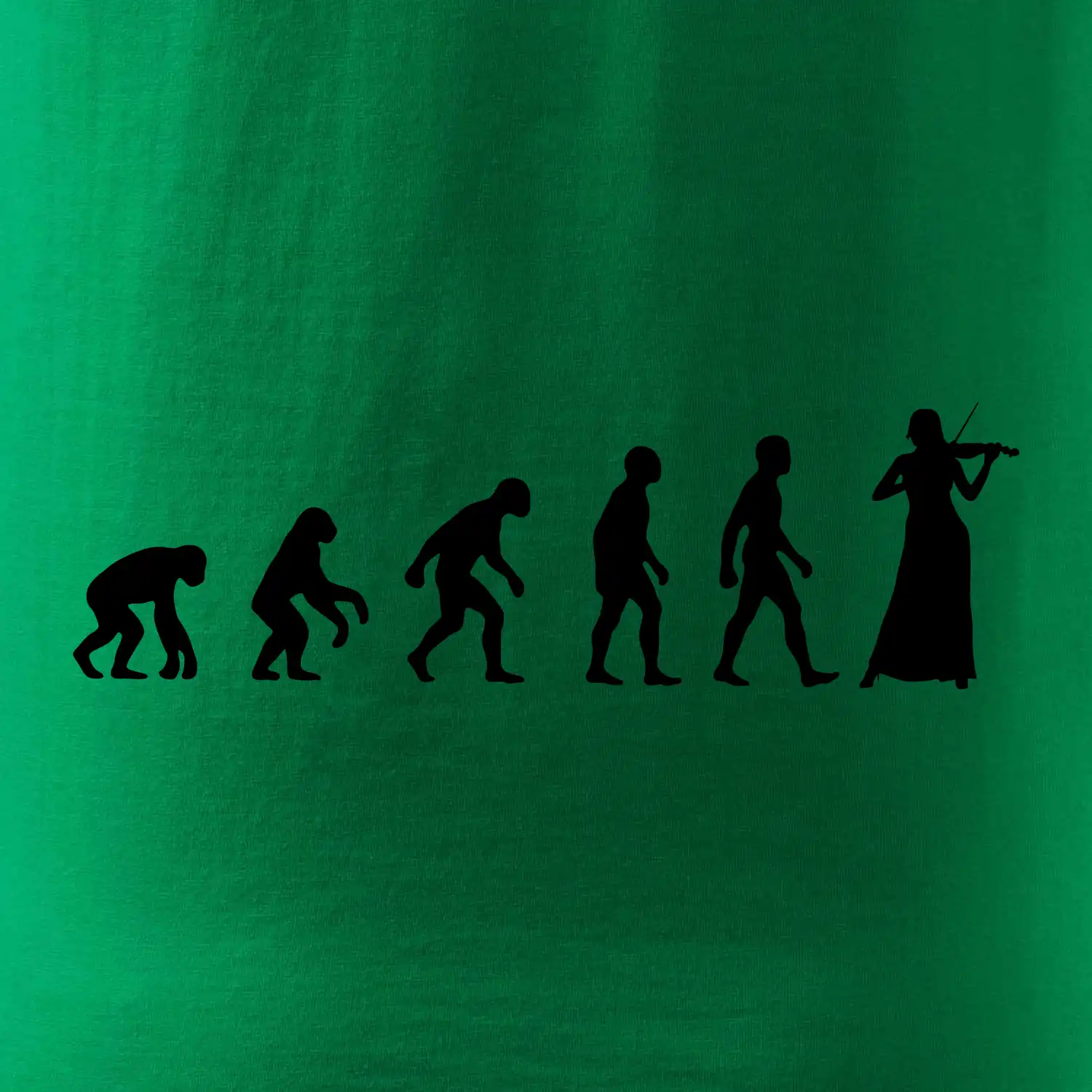 Evoluce houslistka