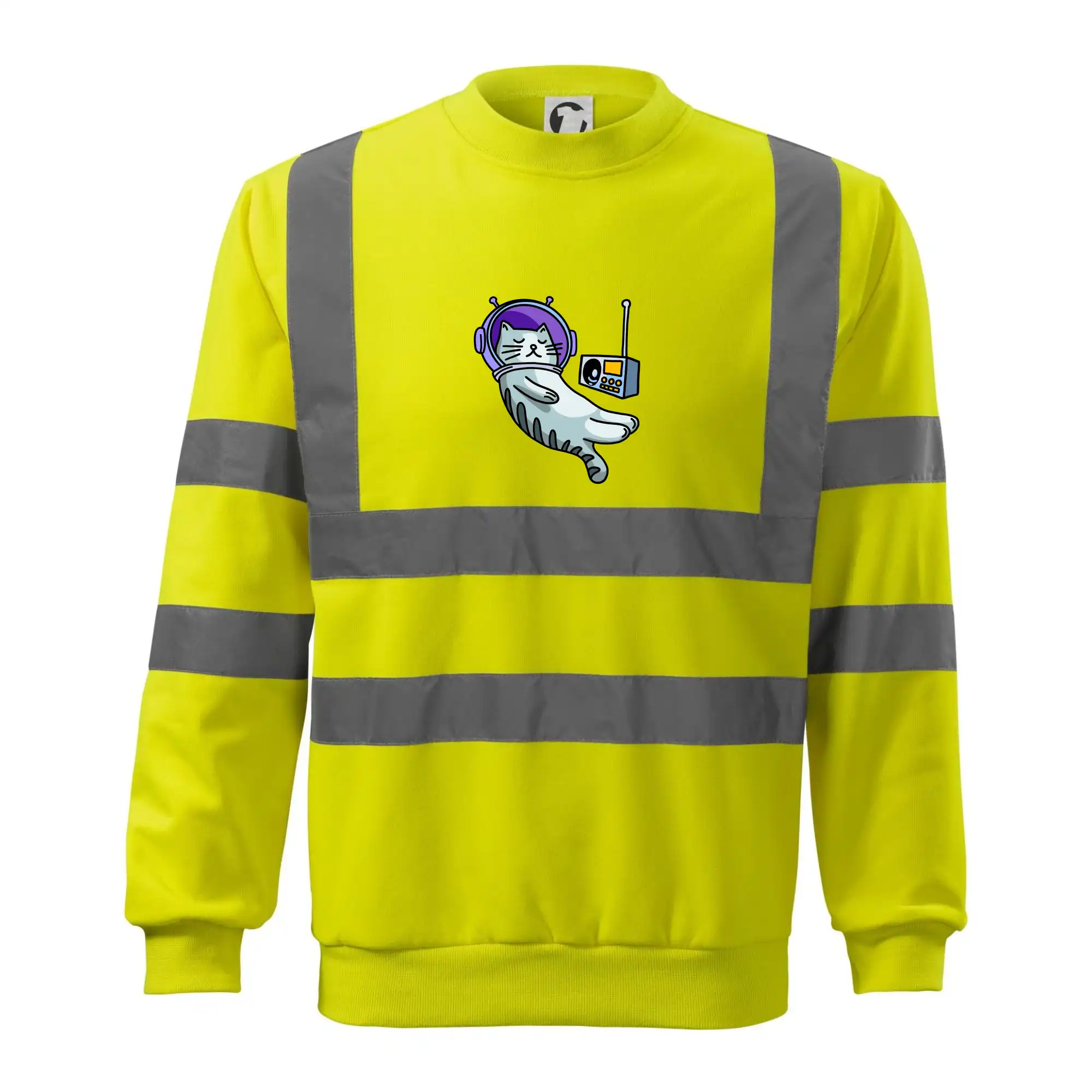 Kočka na měsíci