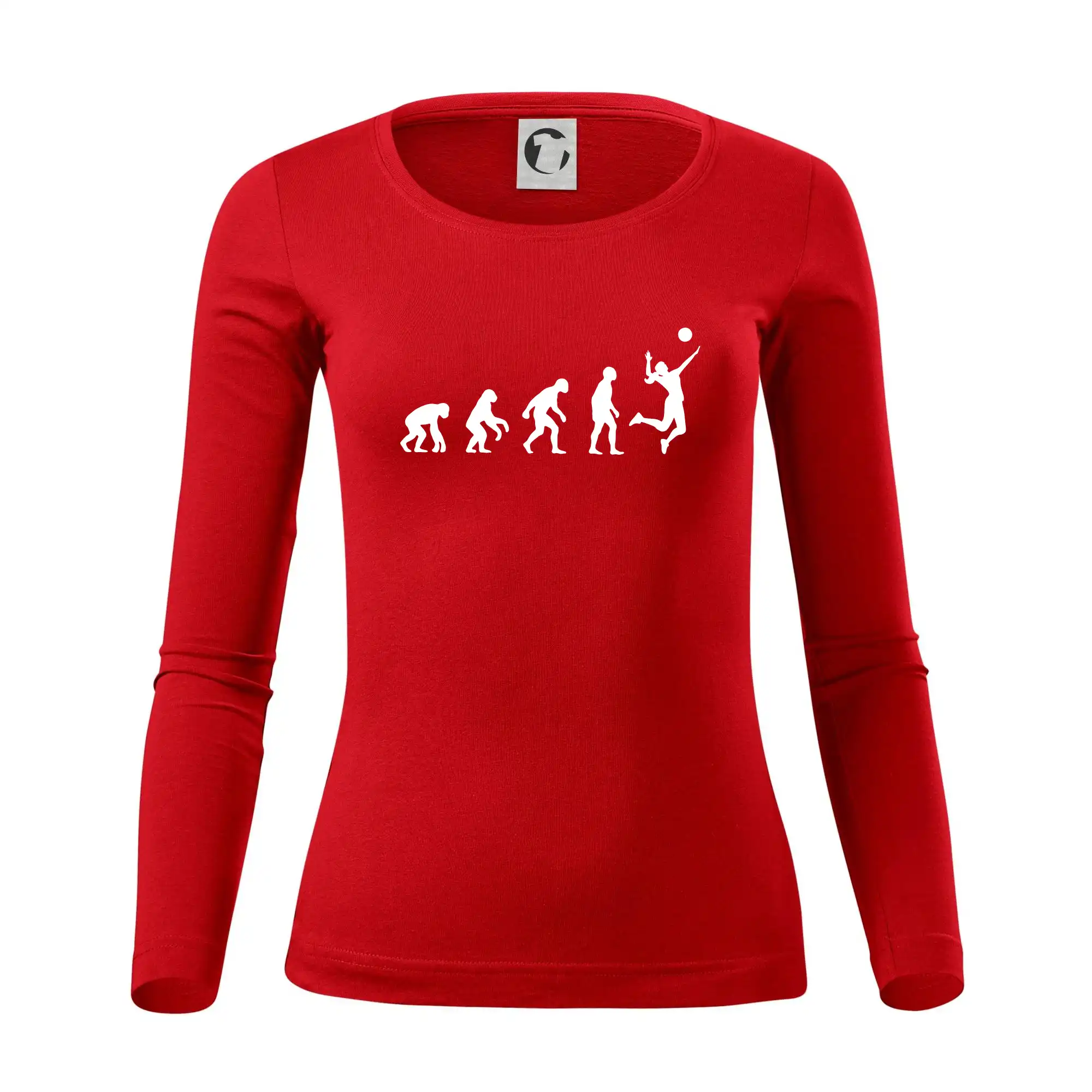 Evoluce volejbal culík