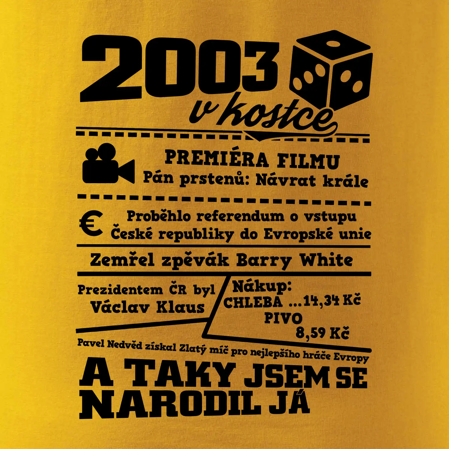 2003 v kostce