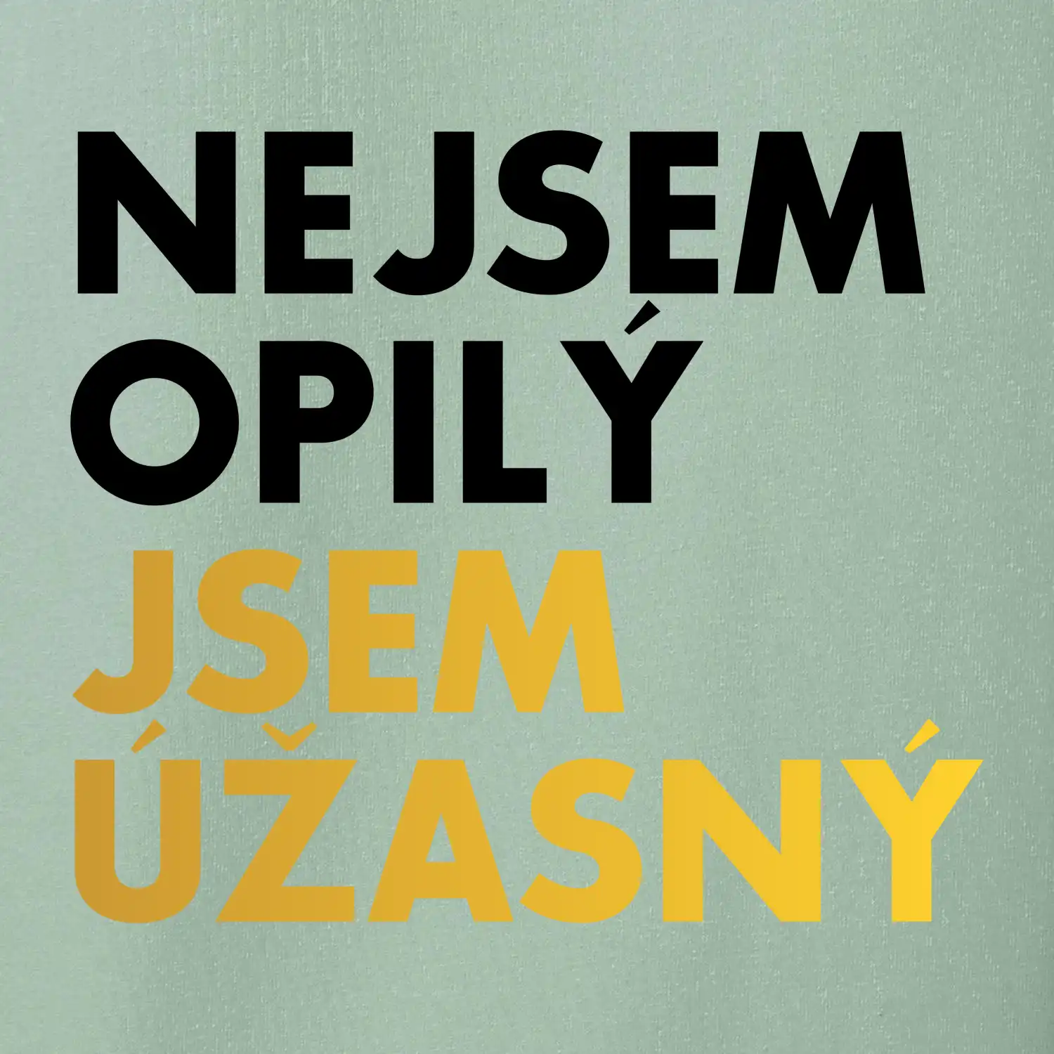 Nejsem opilý jsem úžasný