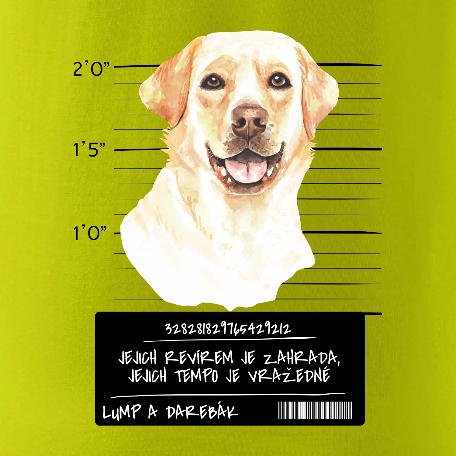 Lump a darebák labrador