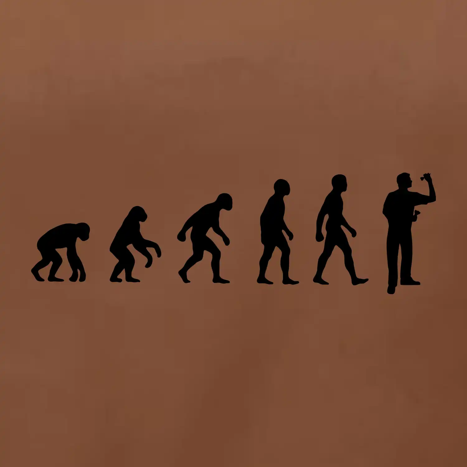 Evoluce šipky