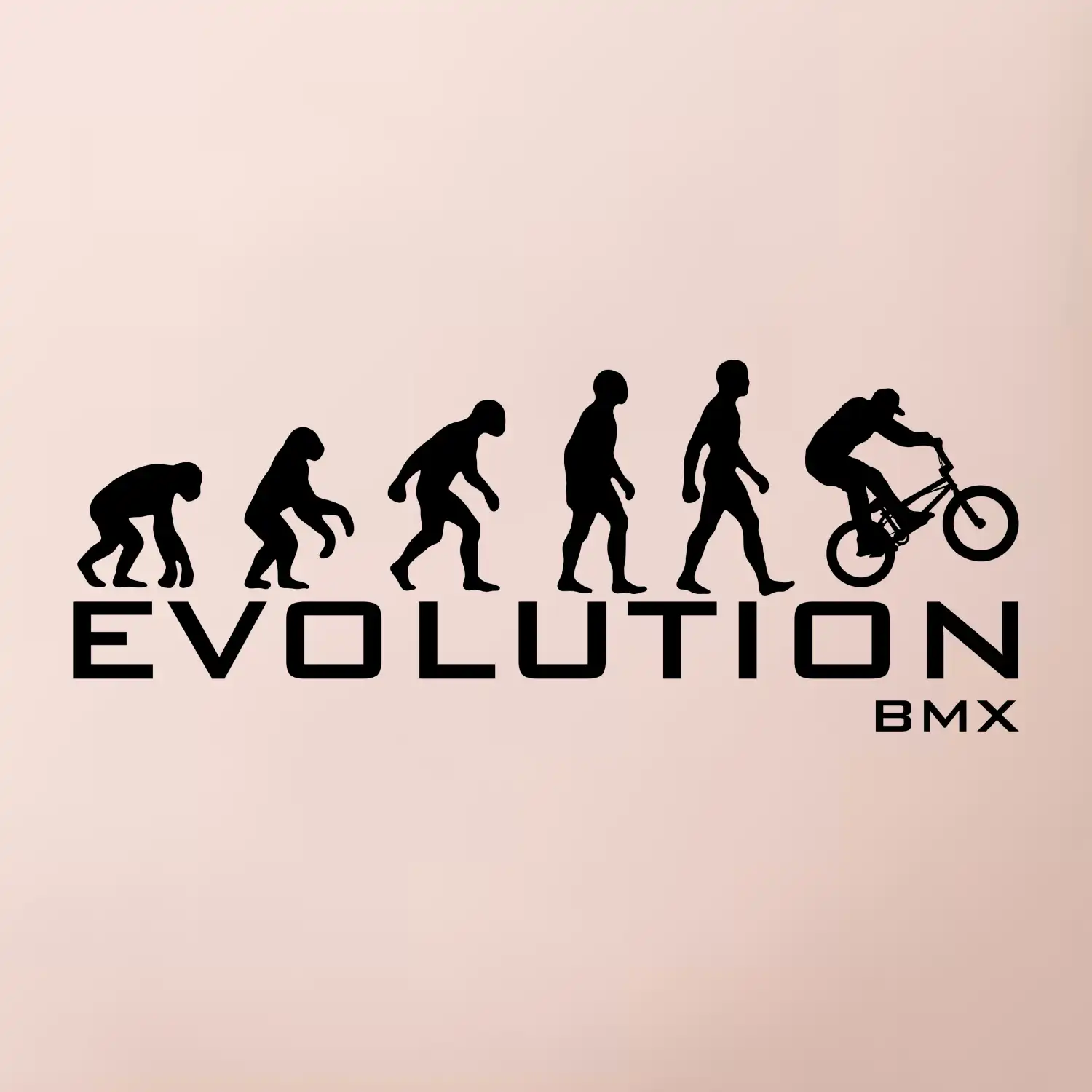 Evoluce BMX