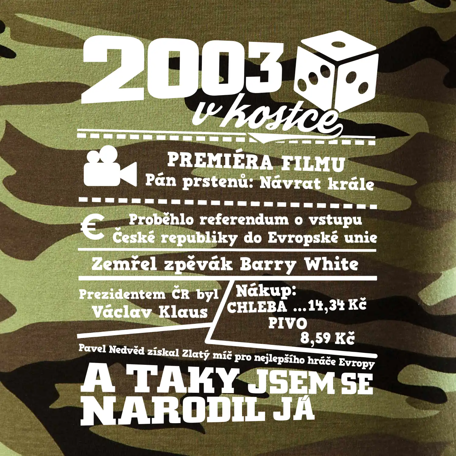2003 v kostce