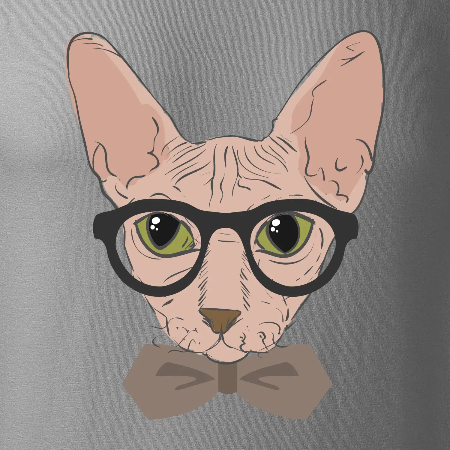 Hipster sphynx