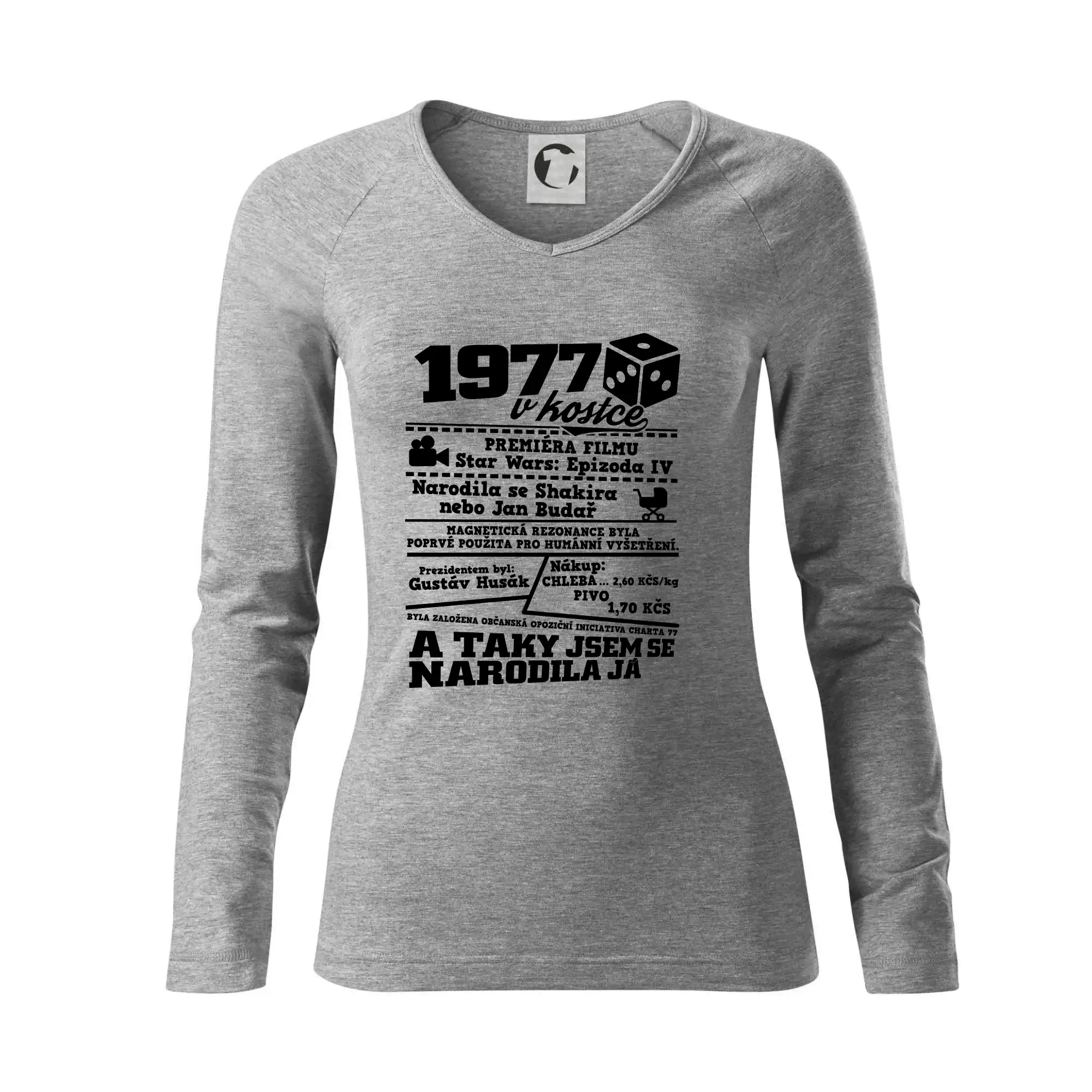 1977 v kostce