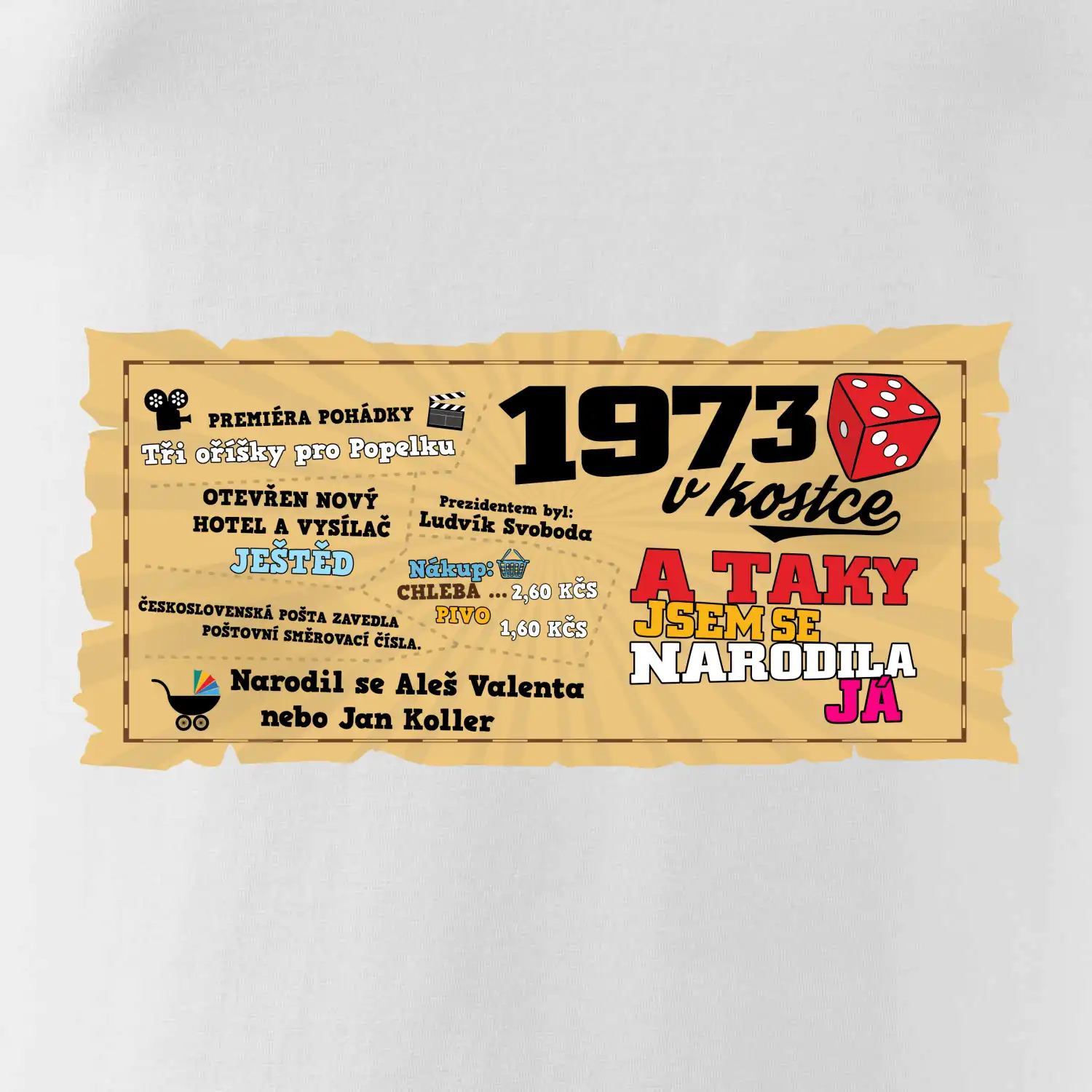 1973 v kostce