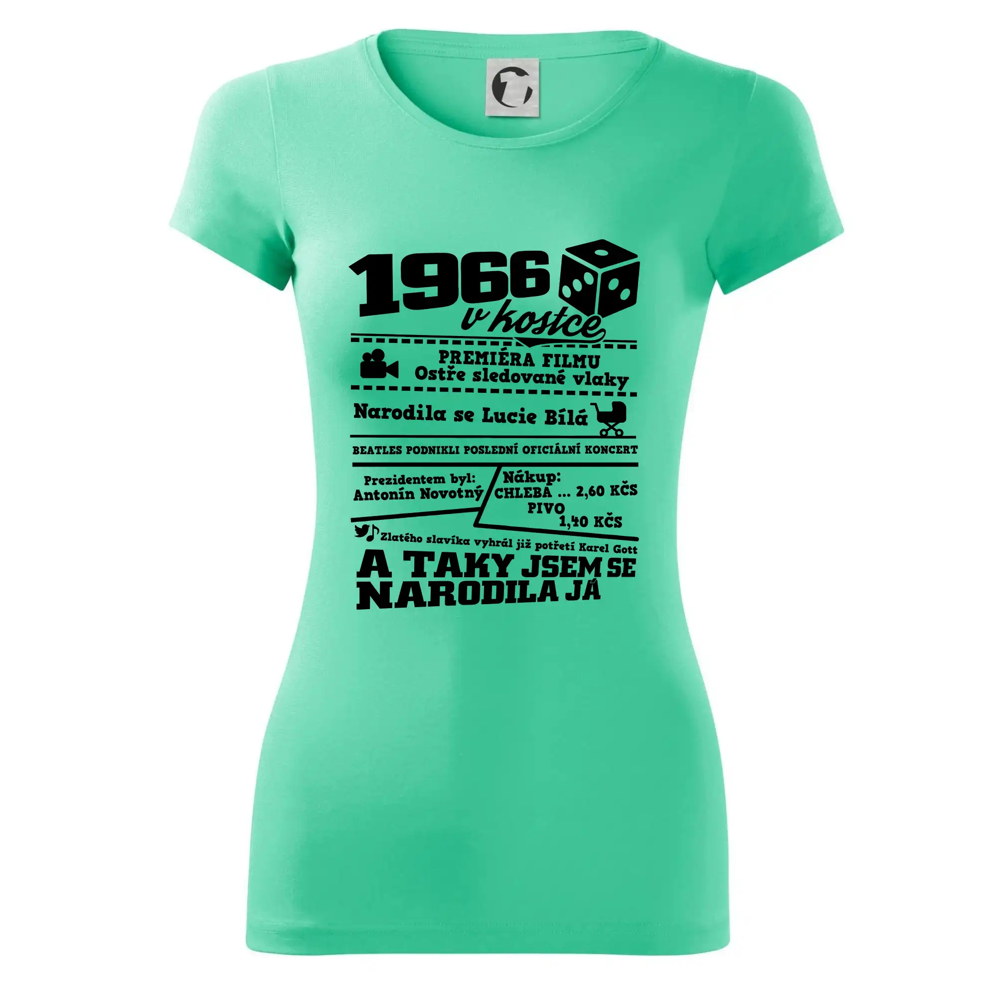 1966 v kostce