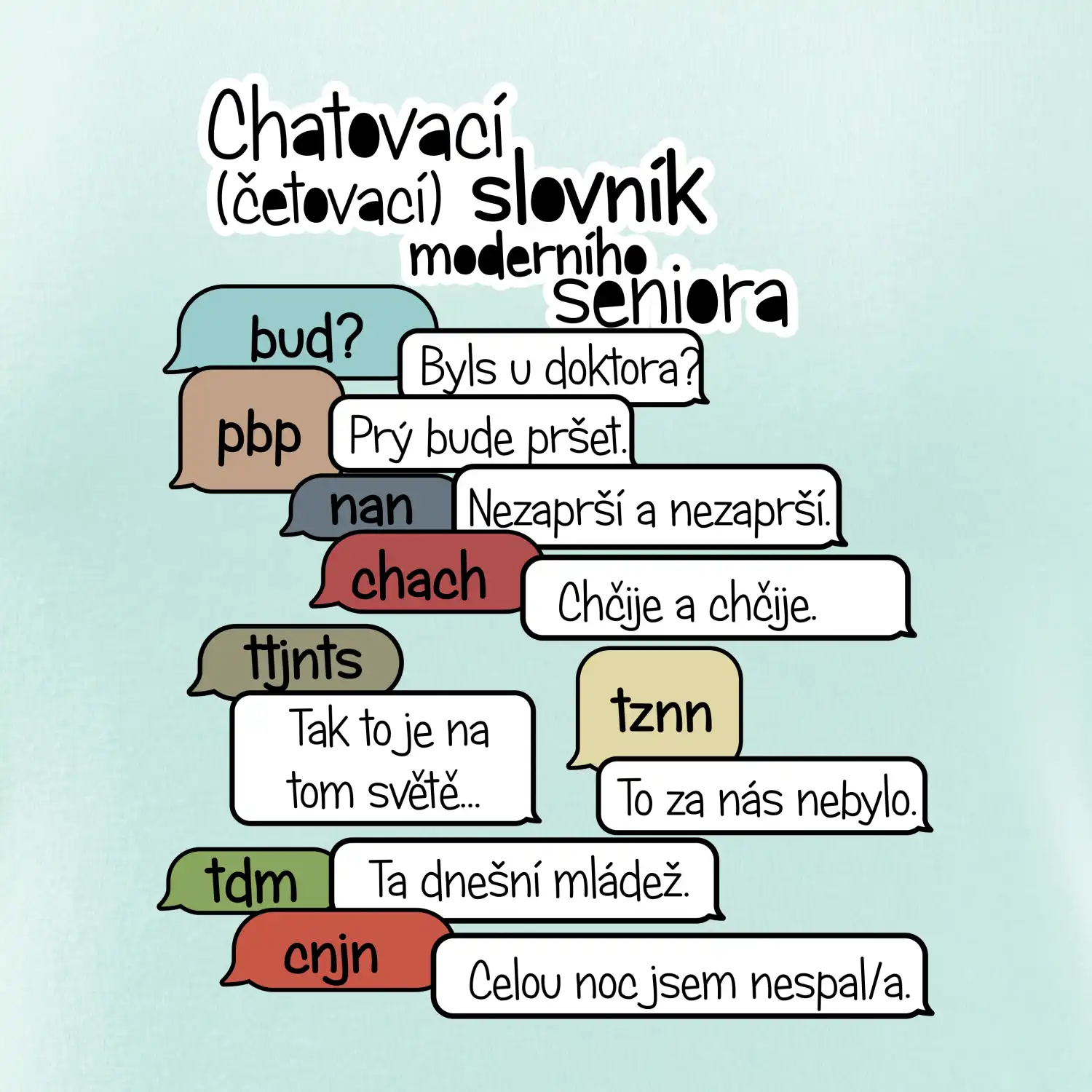Chatovací slovník moderního seniora (Běžící češtinář)