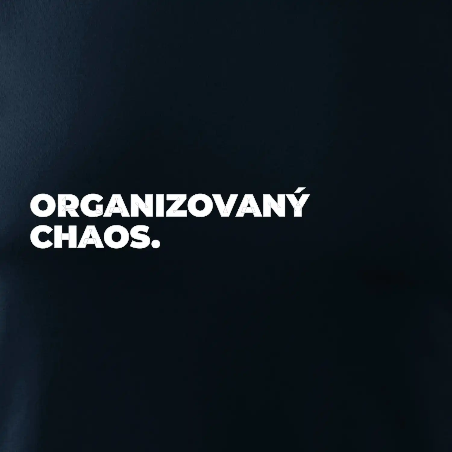 ORGANIZOVANÝ CHAOS.