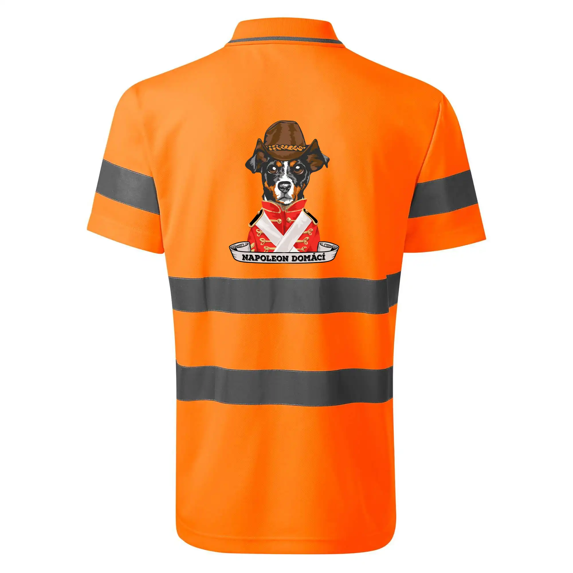 Napoleon domácí pes kříženec