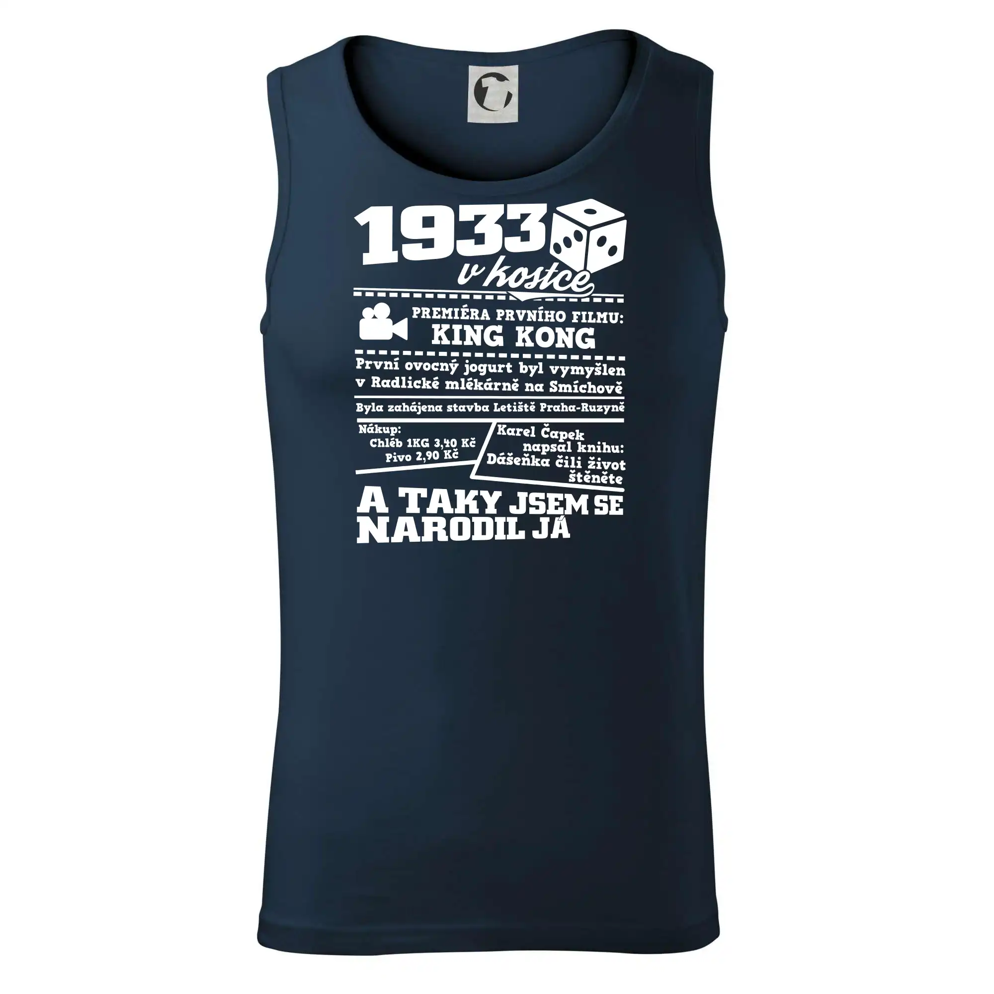 1933 v kostce