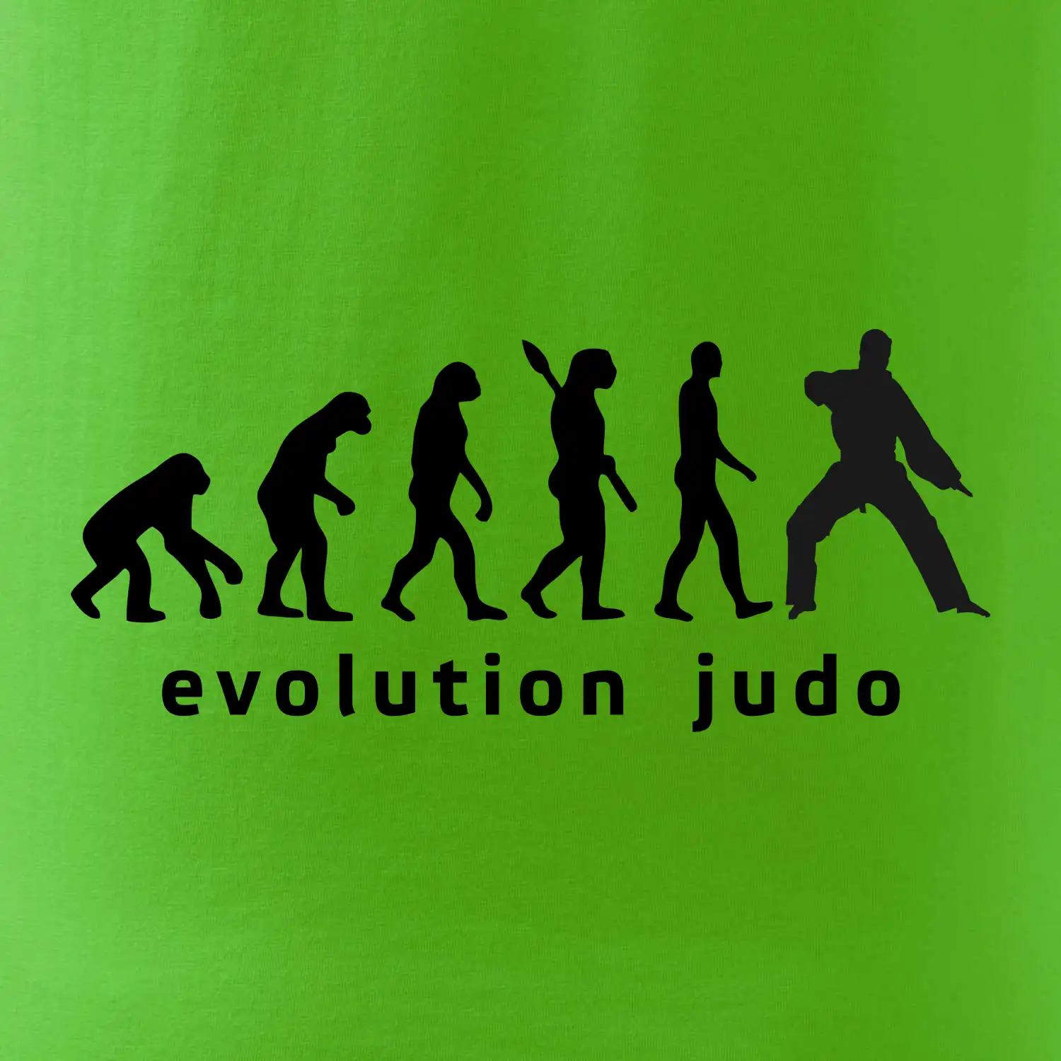 Judo evoluce - úder
