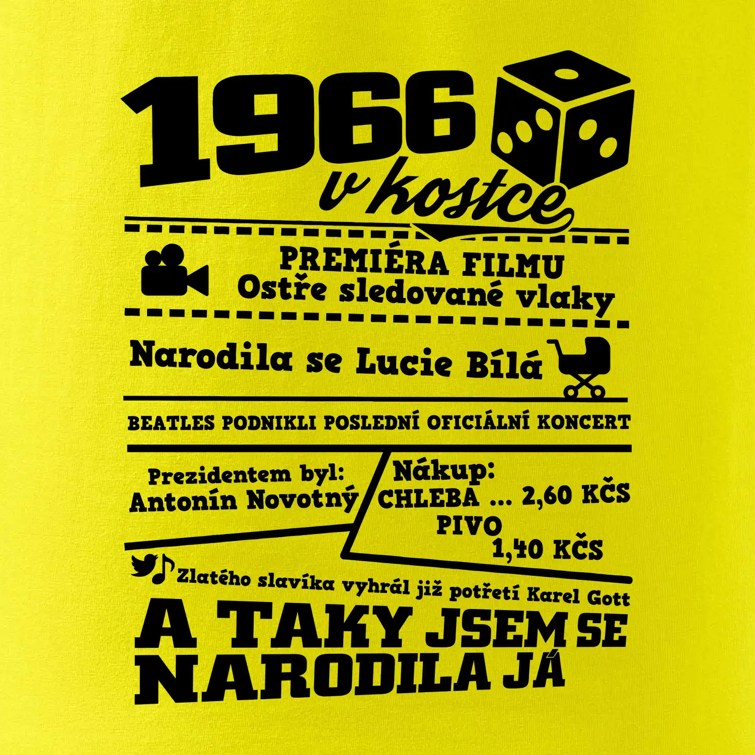 1966 v kostce