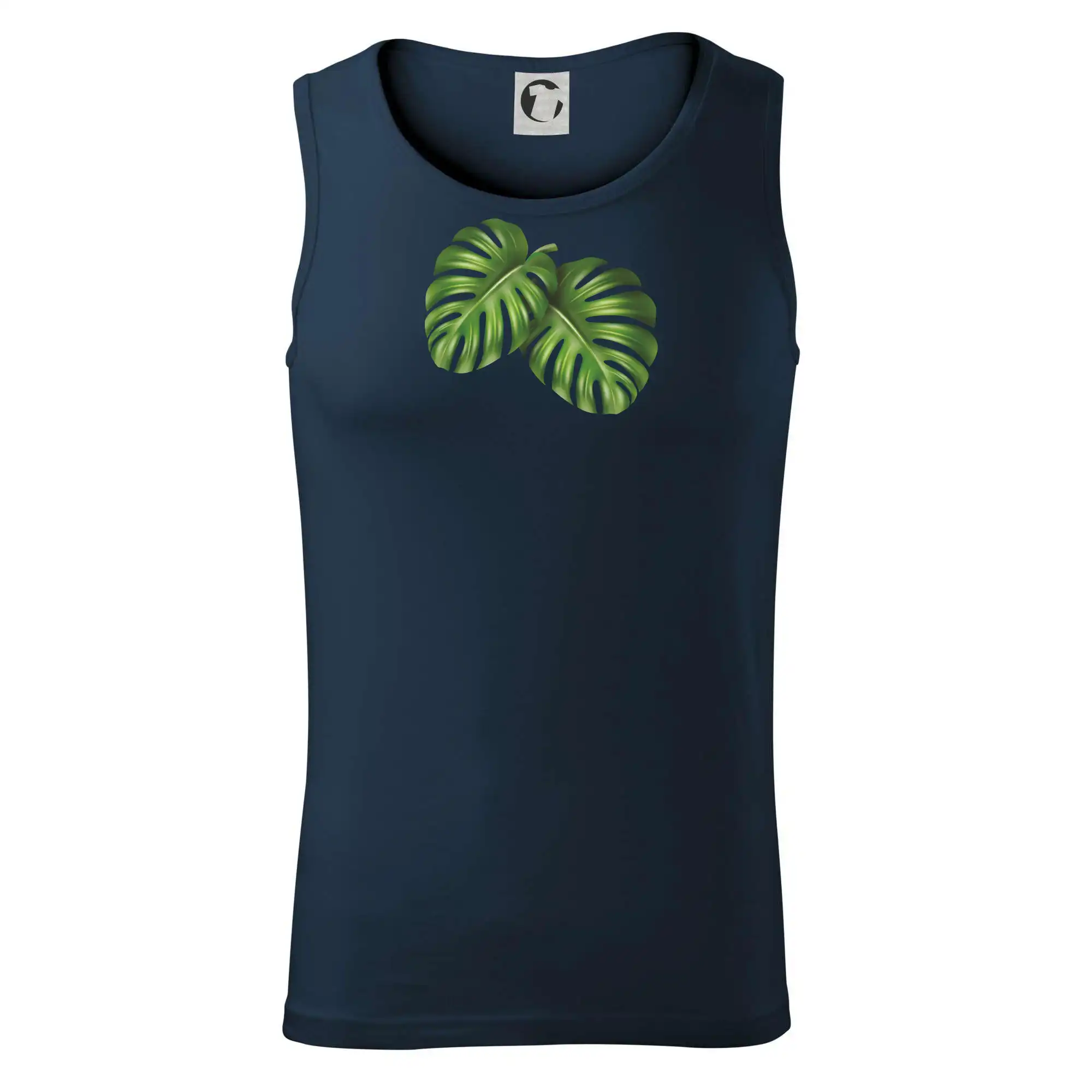 Monstera - dva listy