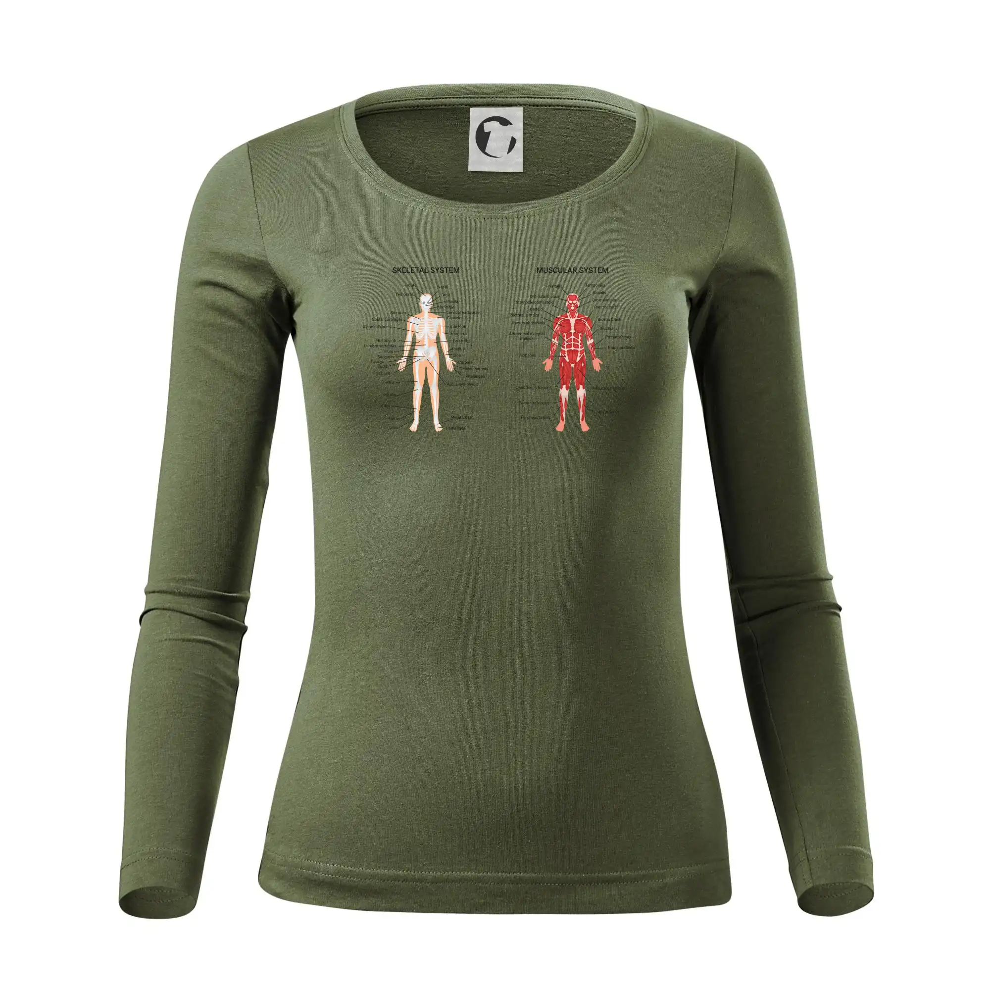 Skelet and Moscular system