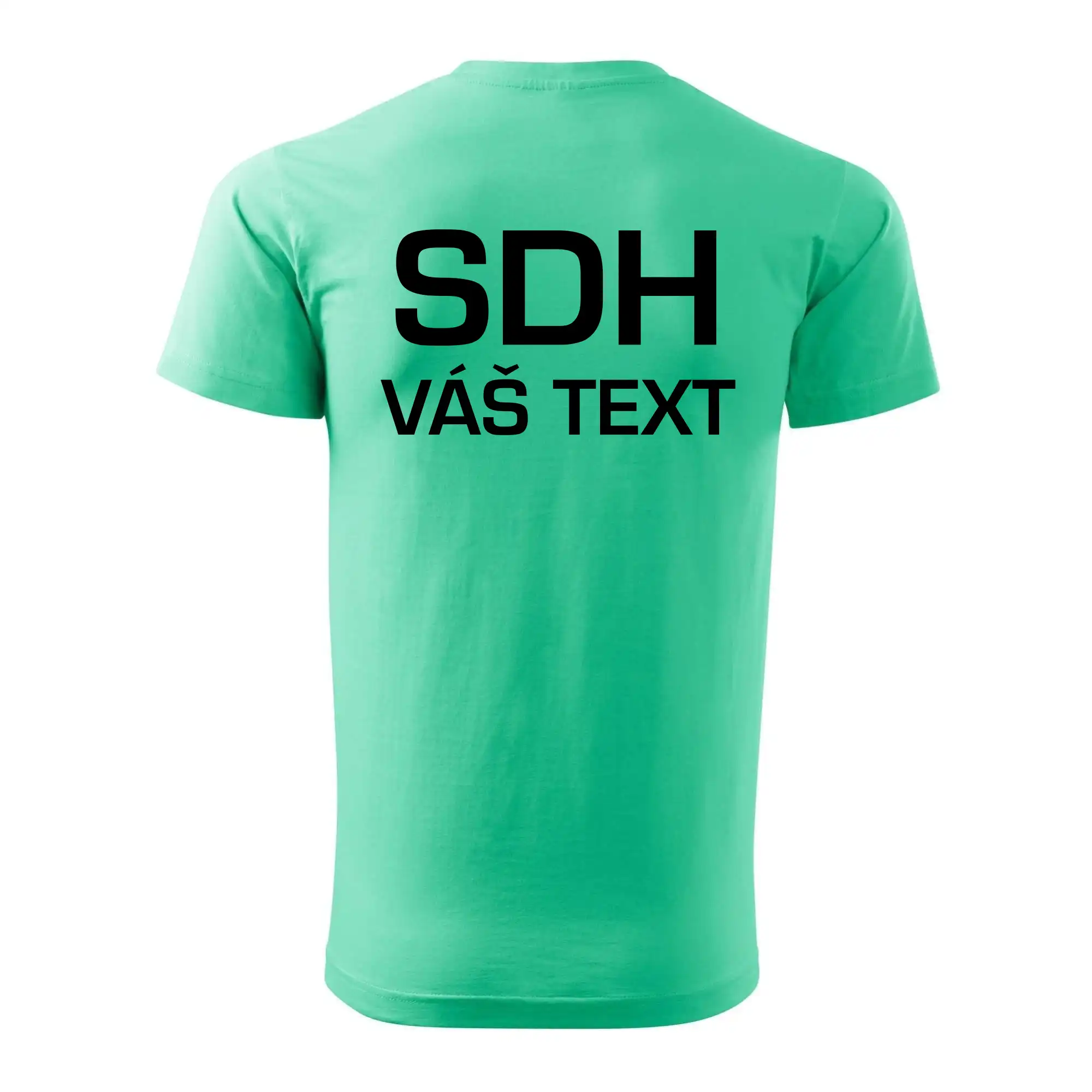 SDH logo