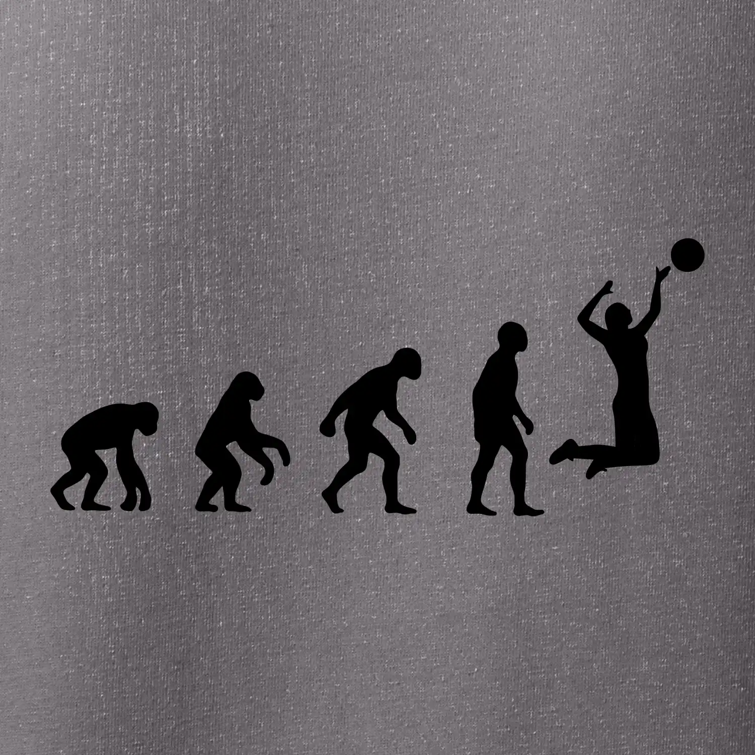 Evoluce volejbal žena