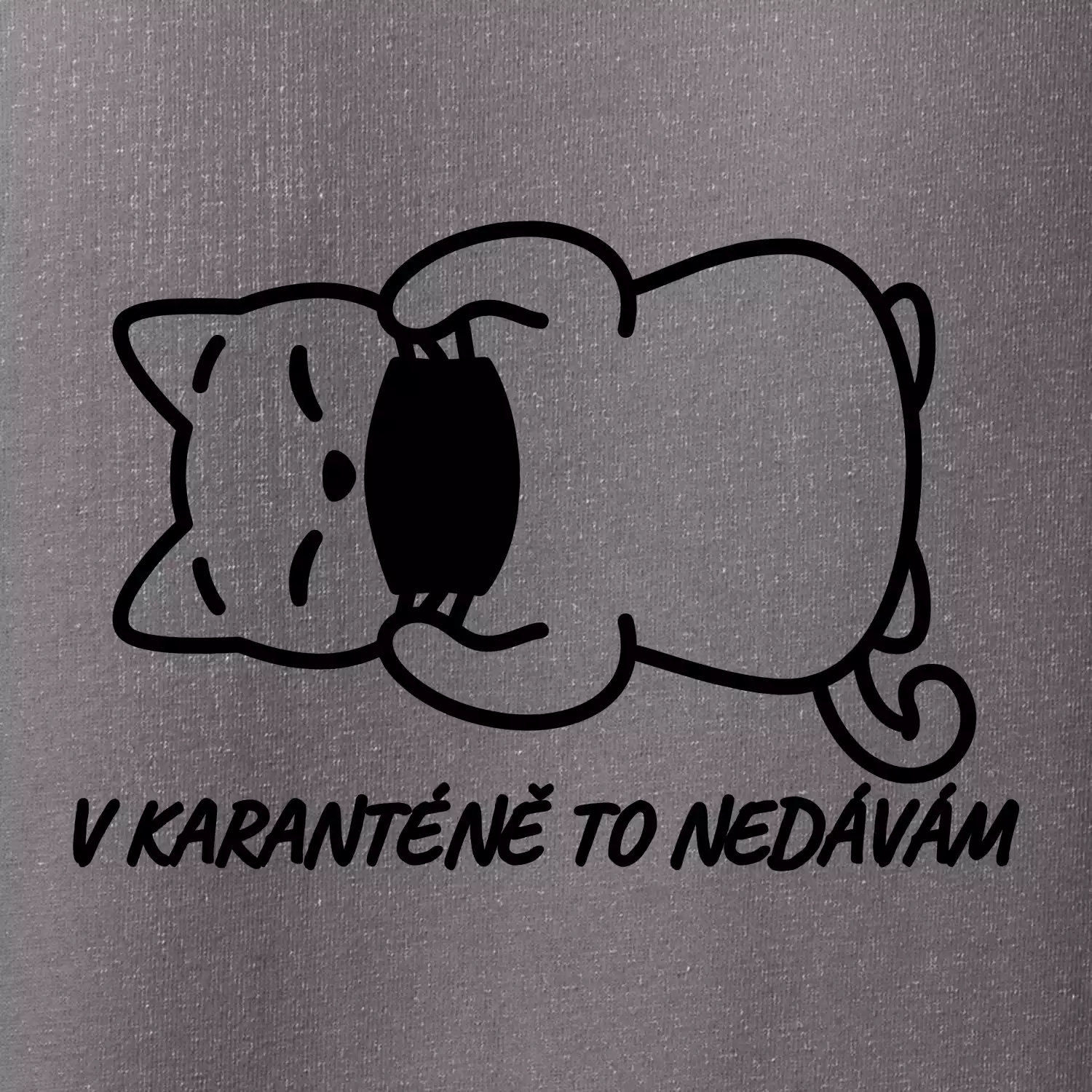V karanténě to nedávám