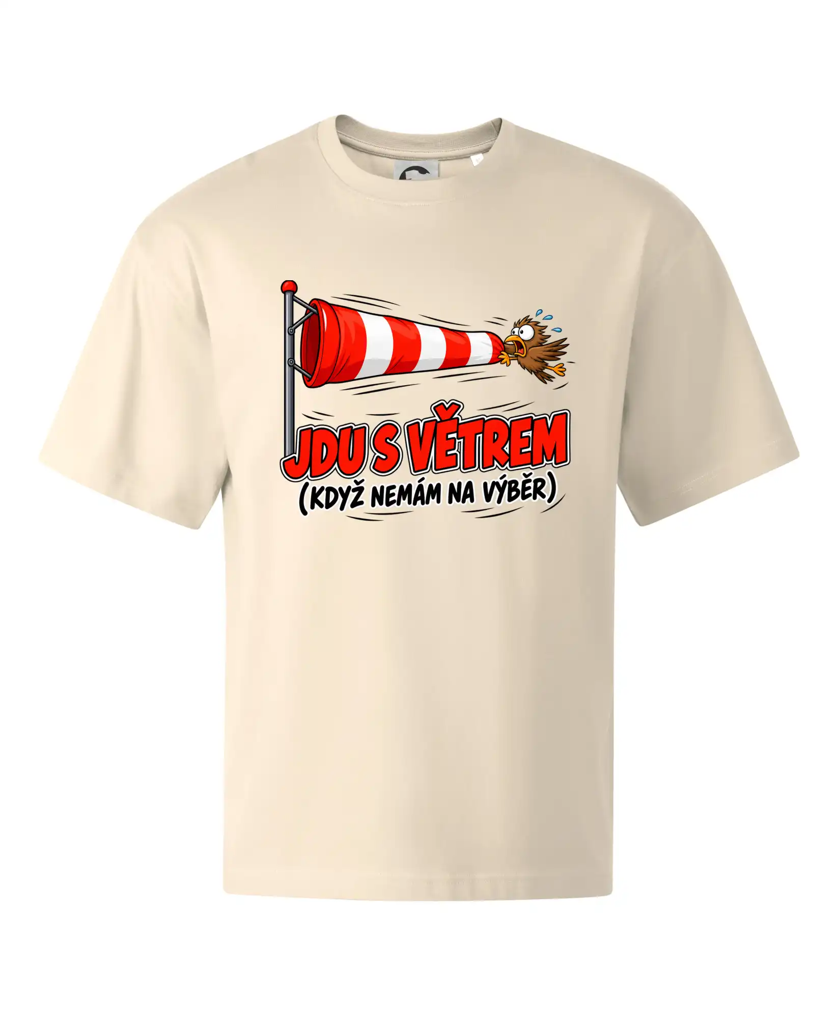 Jdu s větrem