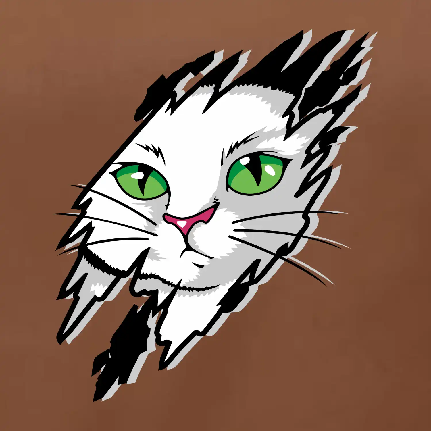 Kočka v roztrženém triku