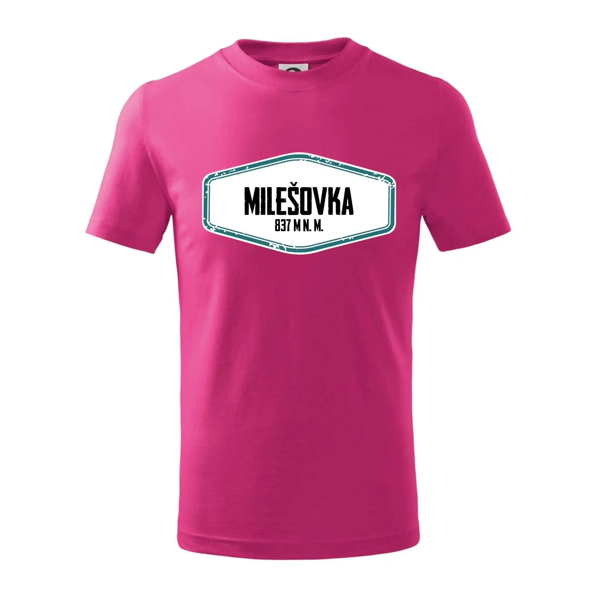 Hora Milešovka