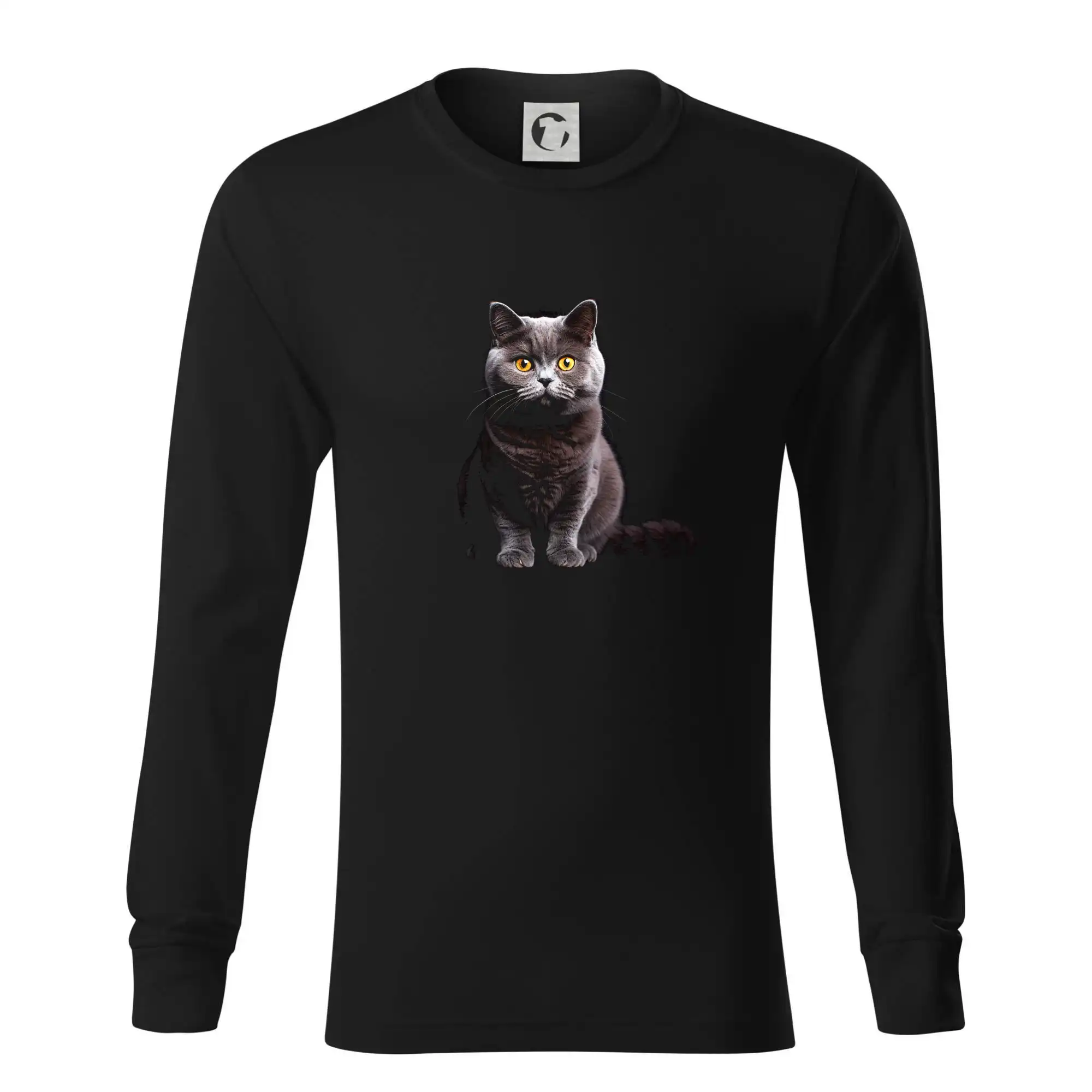 Britská kočka černá fotka