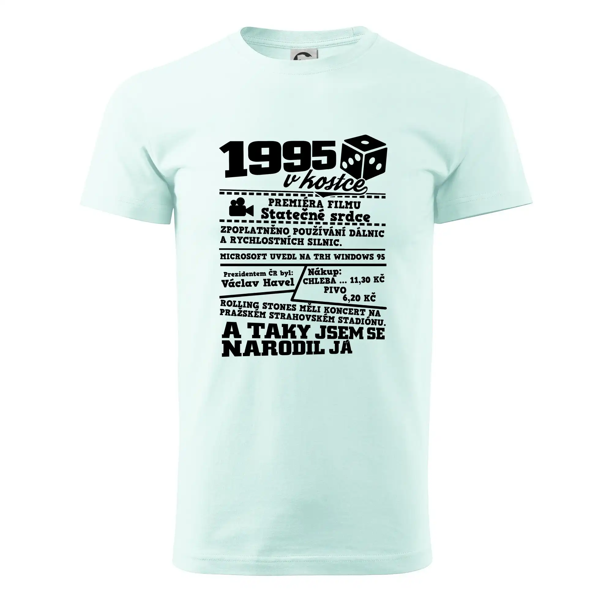 1995 v kostce