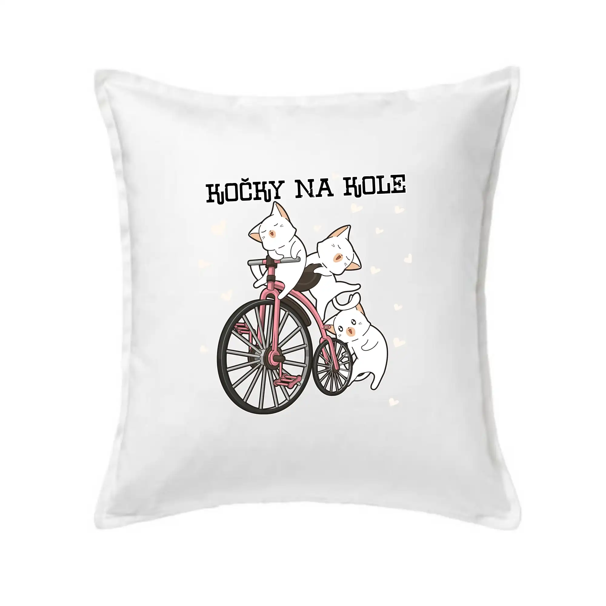 Kočky na kole