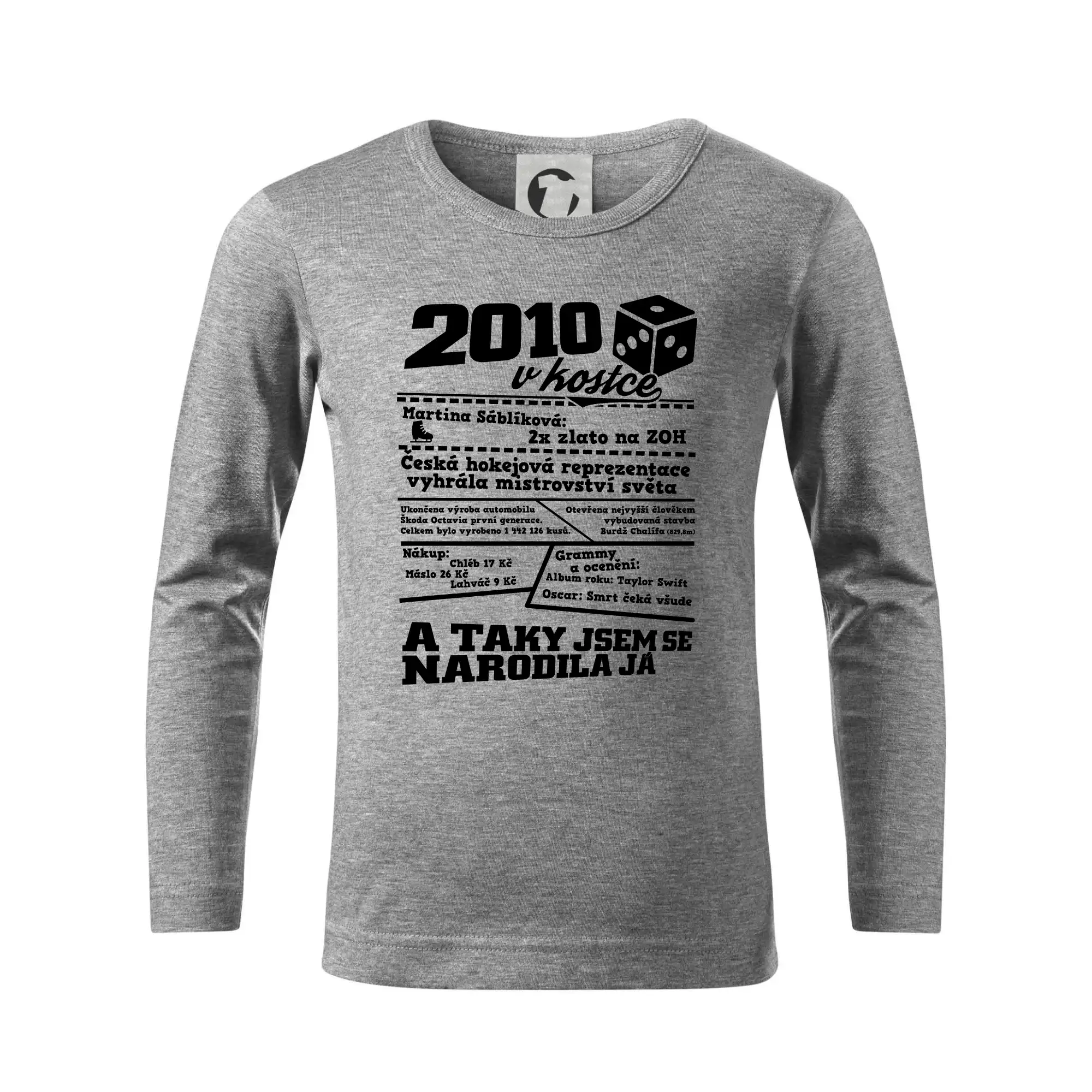 2010 v kostce