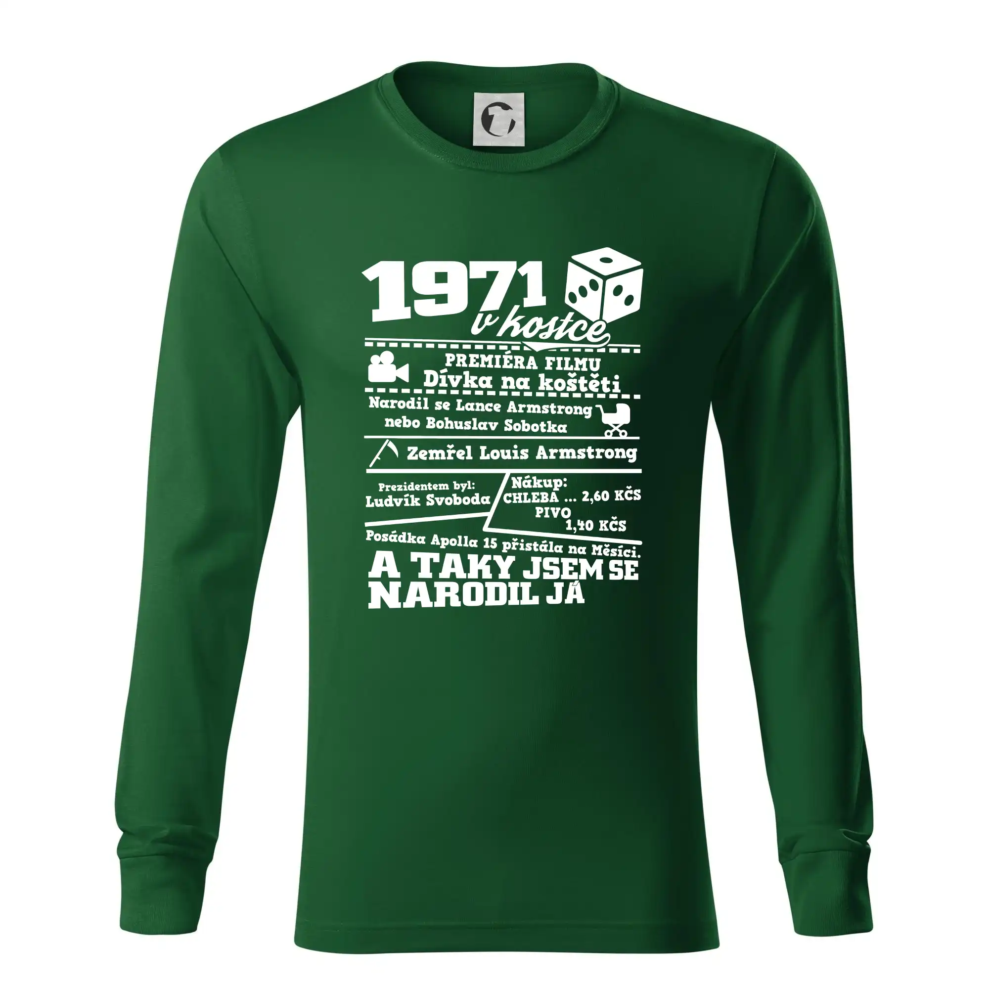 1971 v kostce